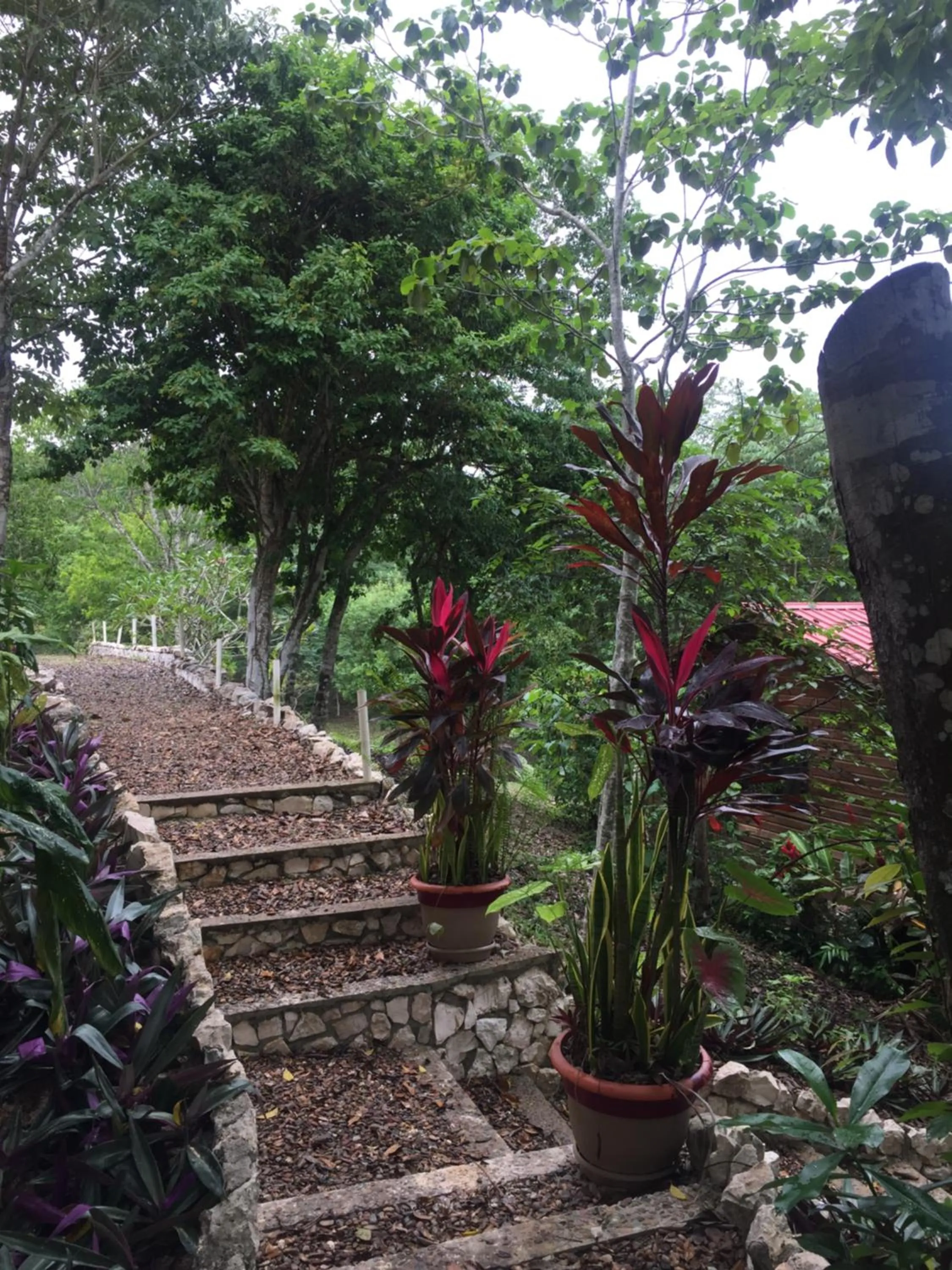 Inner courtyard view in Santa Cruz Cabins