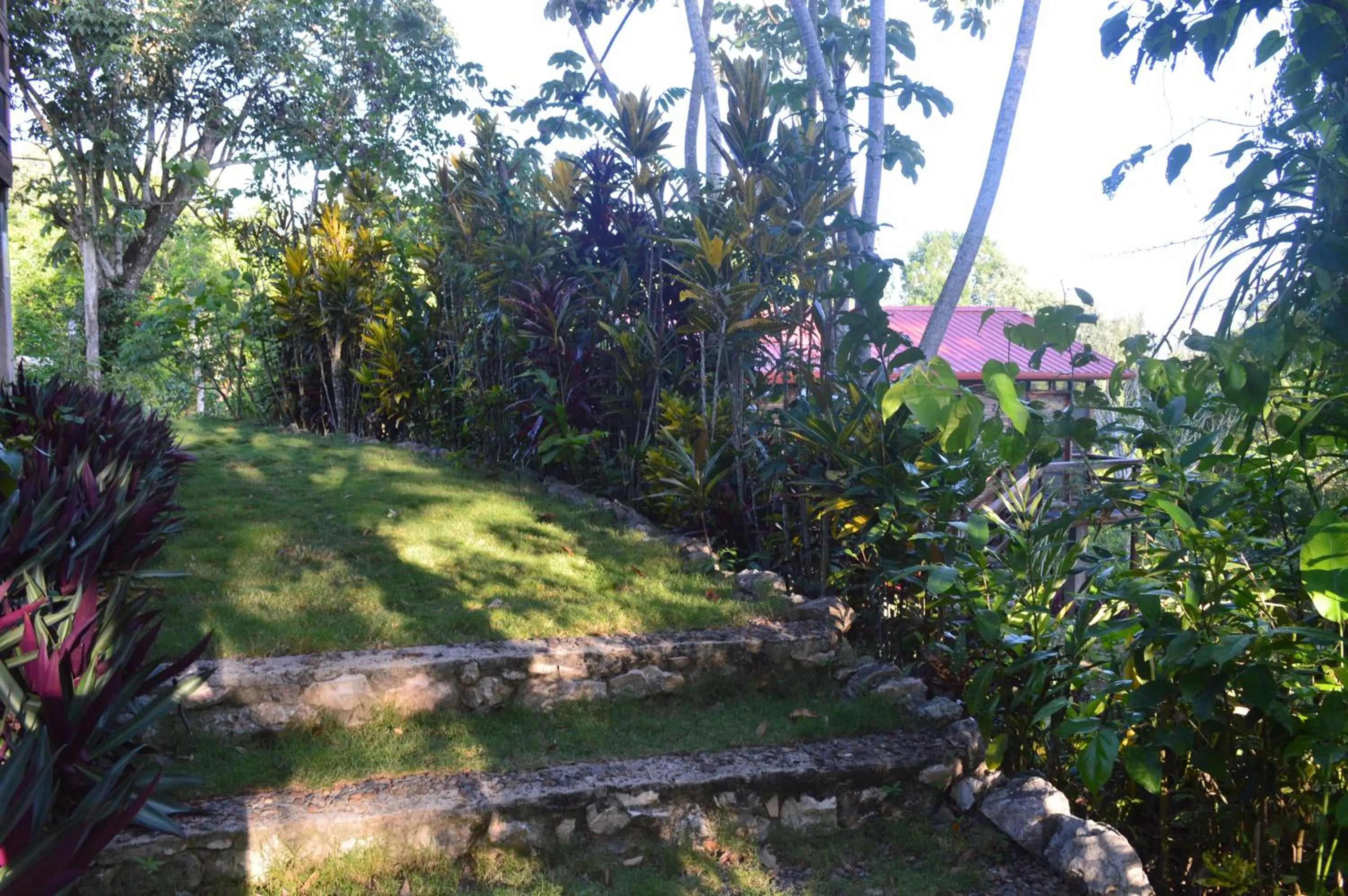 Garden in Santa Cruz Cabins