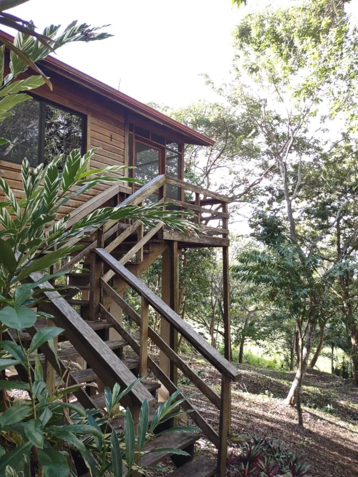 Property building in Santa Cruz Cabins