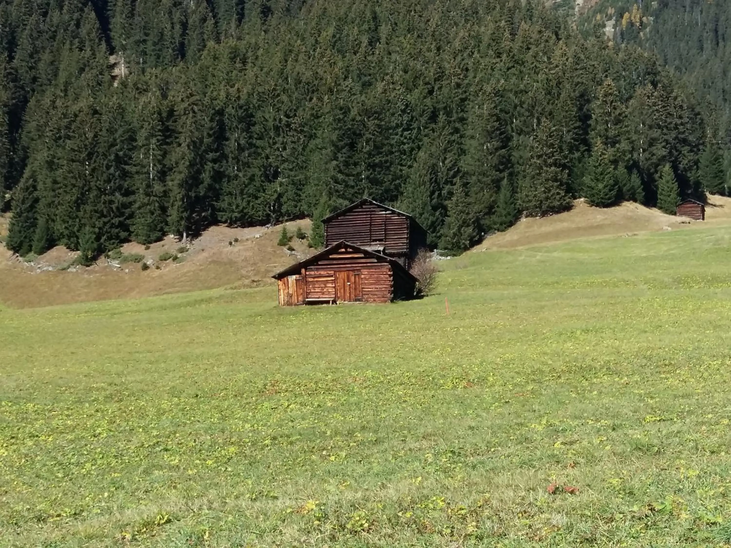 Natural landscape in Apart Lechleitner