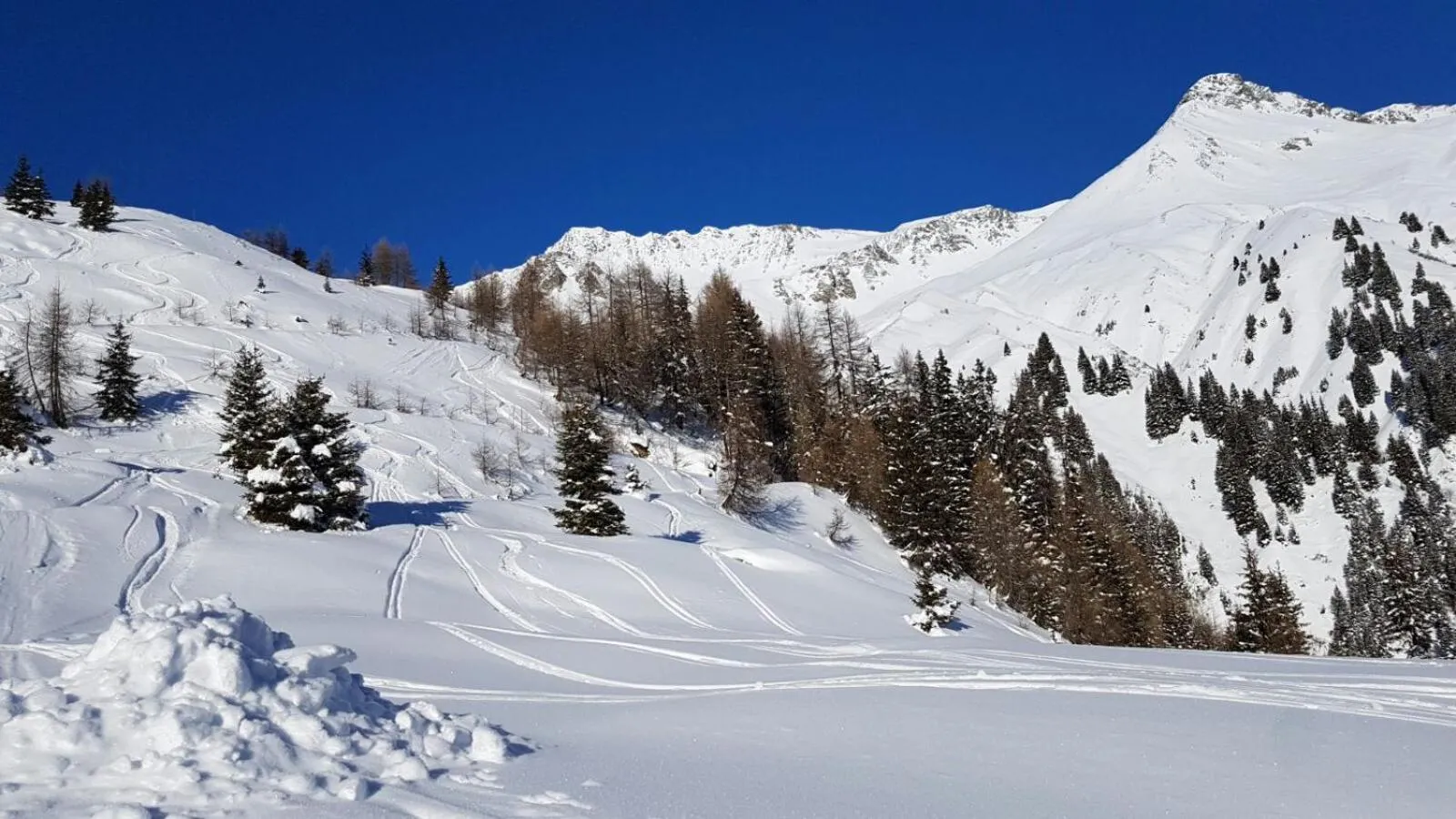 Natural landscape in Apart Lechleitner