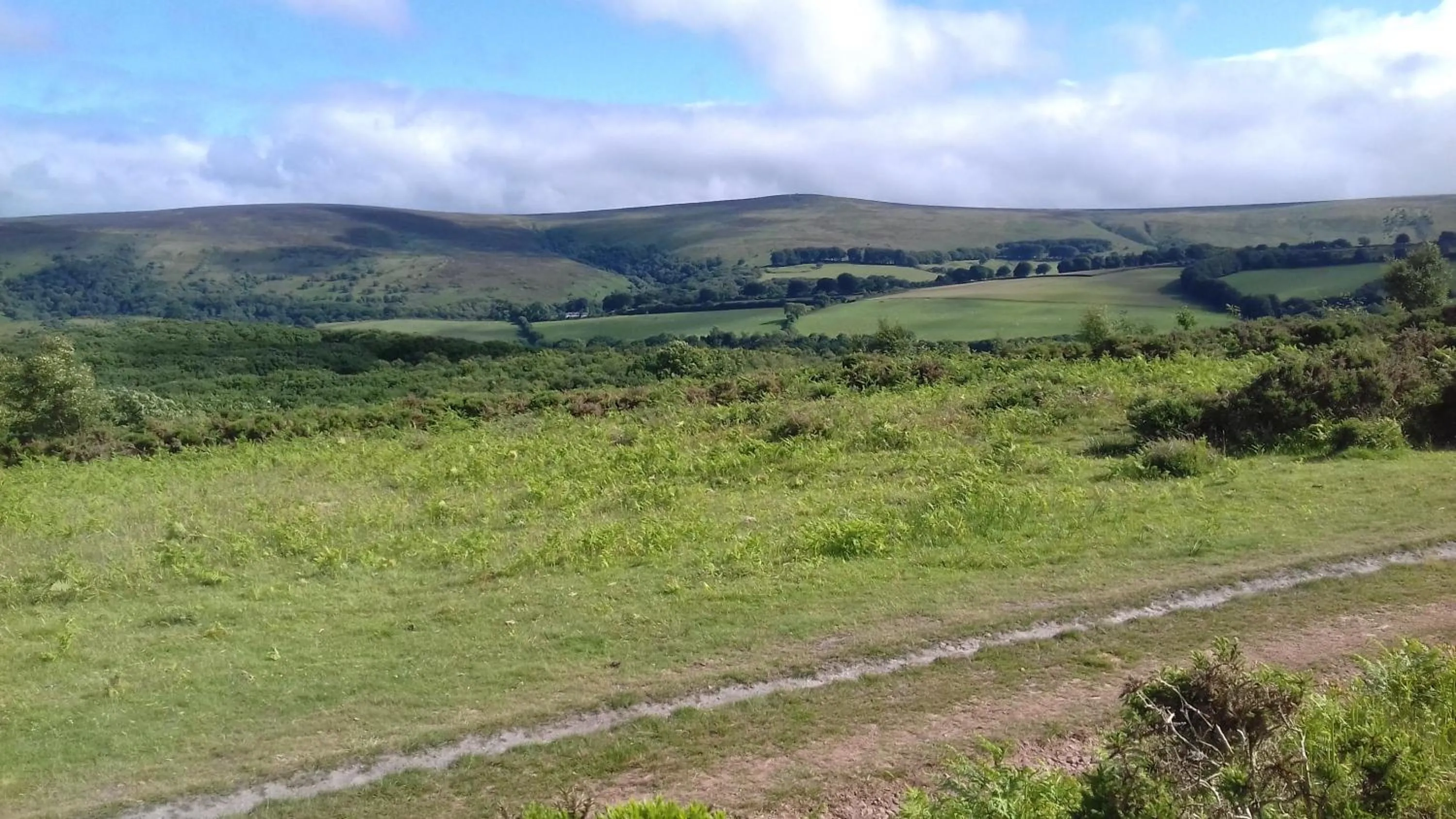 Natural landscape in Myrtle Cottage B&B