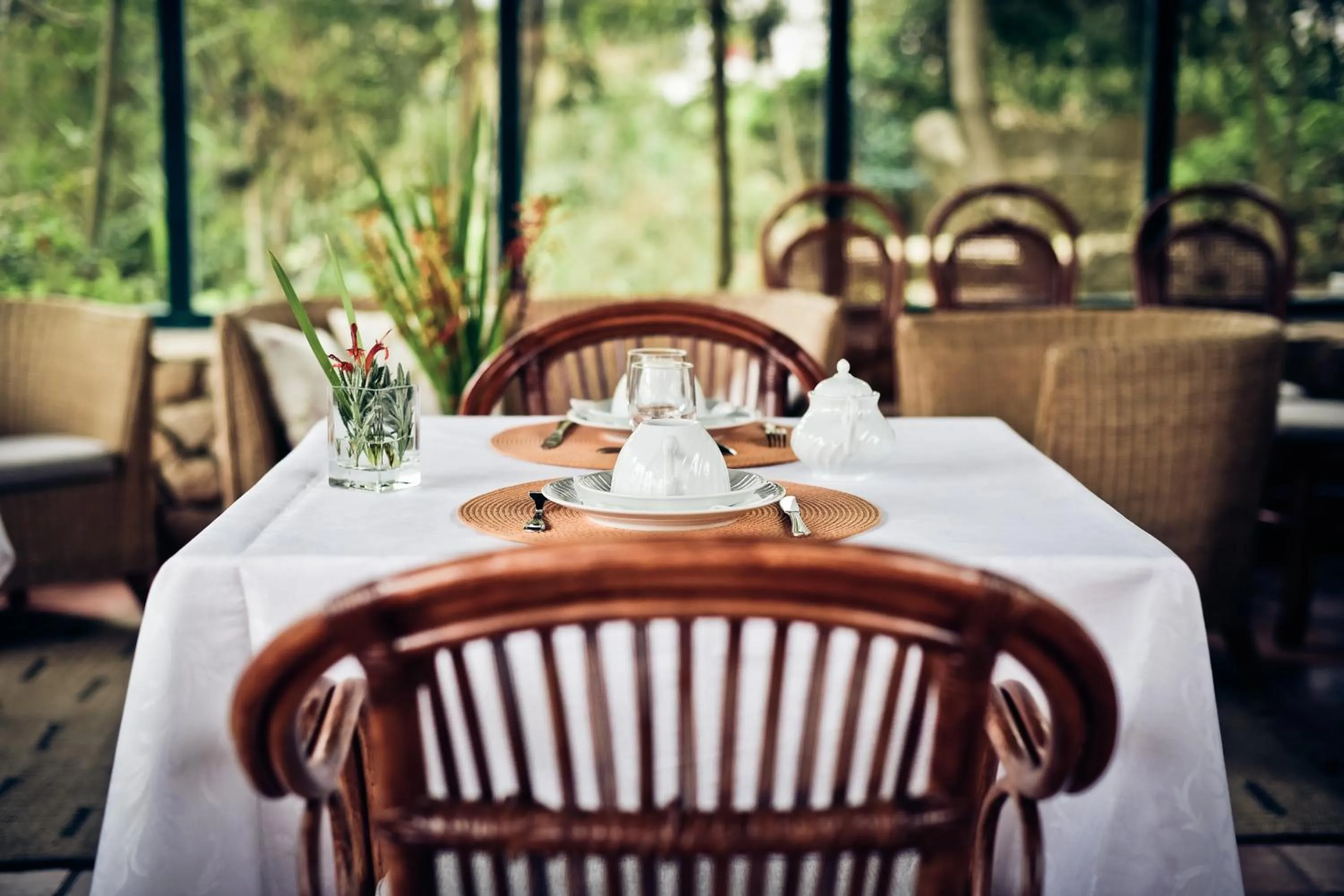 Food and drinks in Quinta Verde Sintra - Casa de Campo