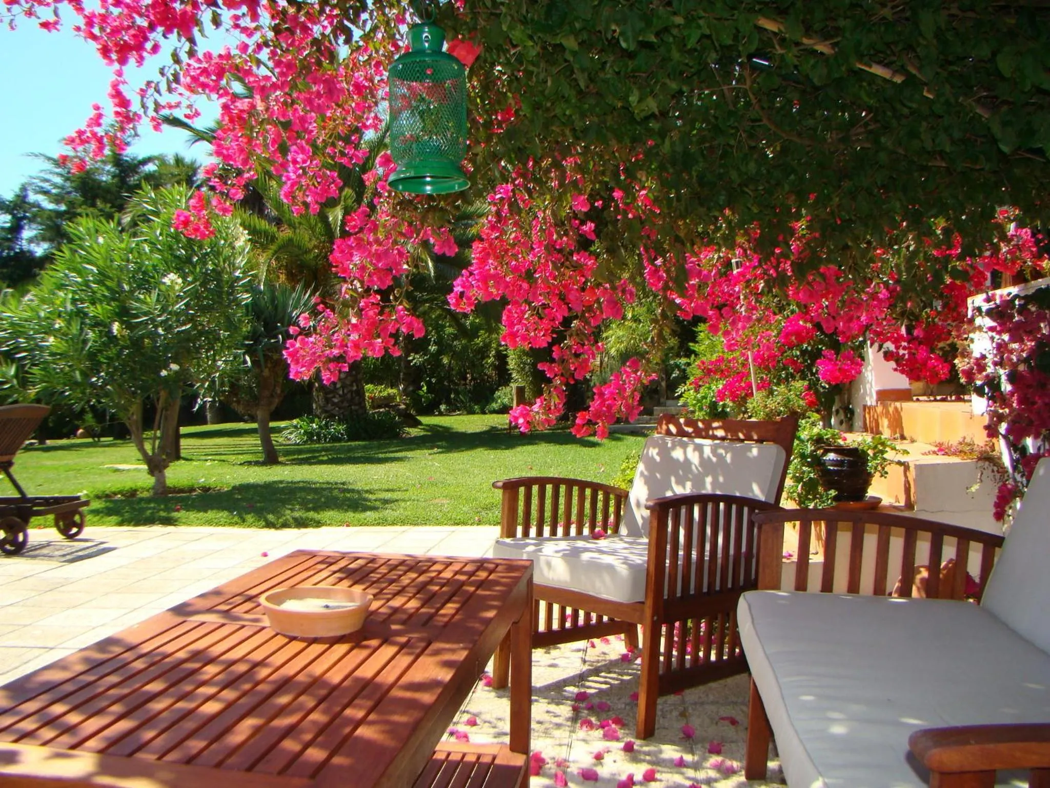 Garden in Quinta Verde Sintra - Casa de Campo