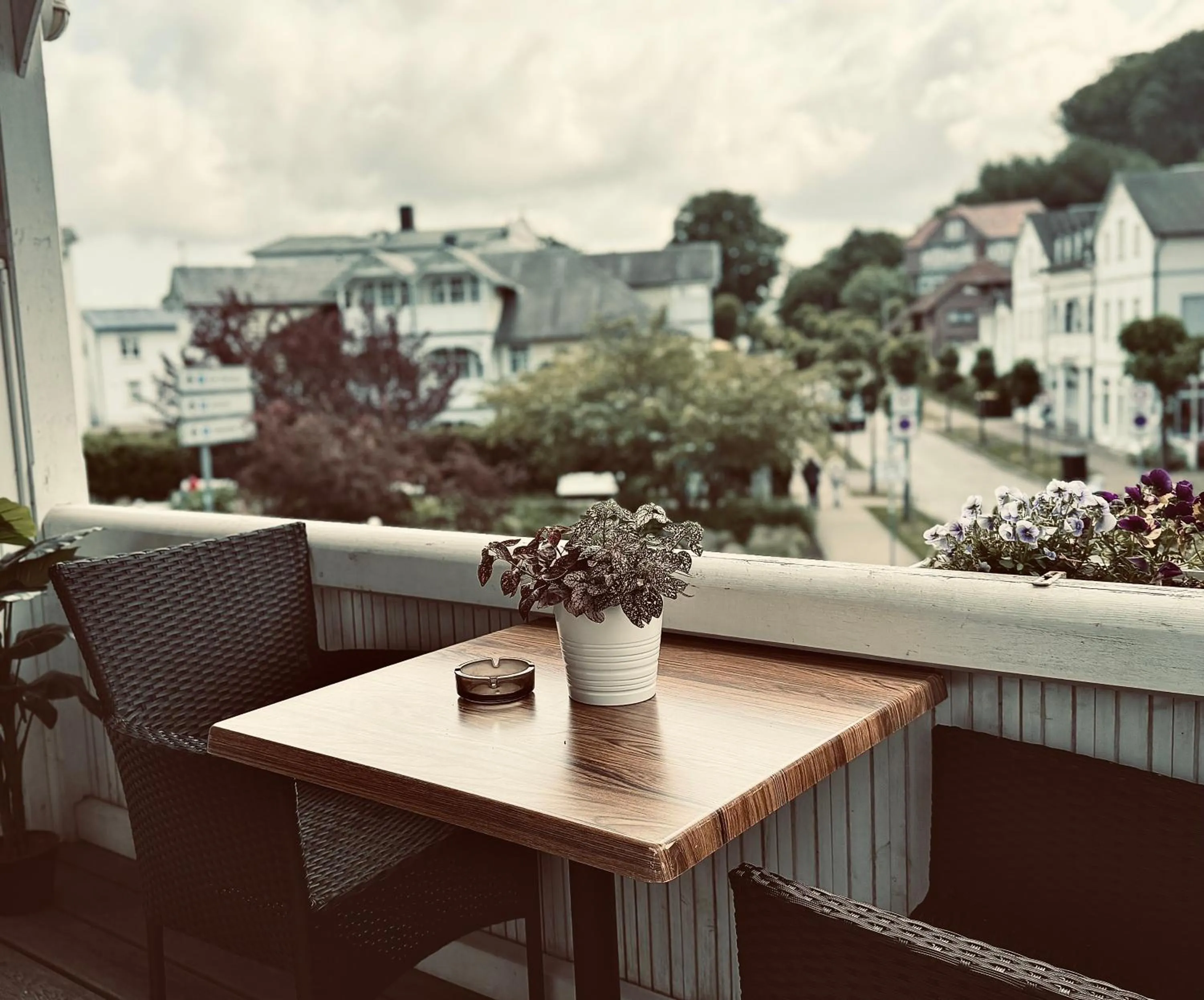 Natural landscape in Hotel Granitz