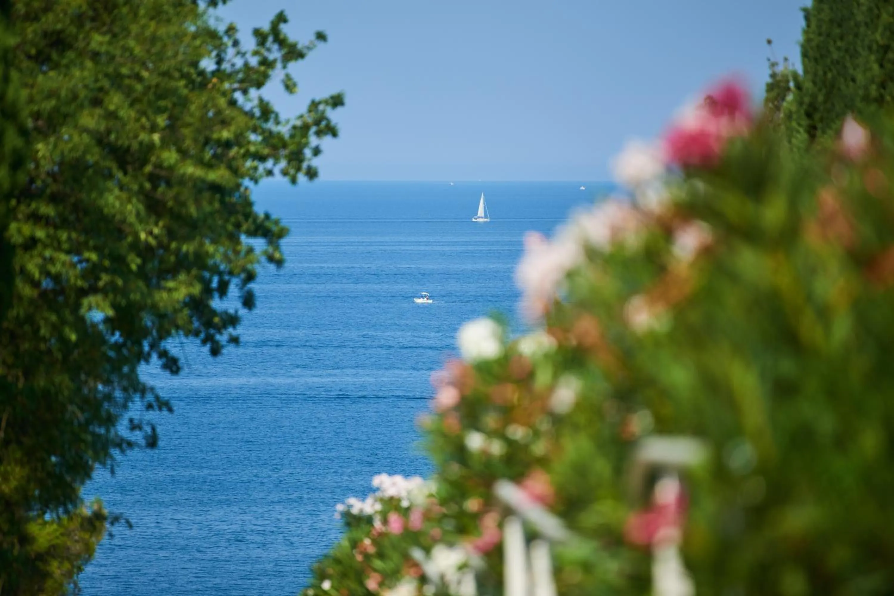 Natural landscape in Apartments Bellevue Plava Laguna