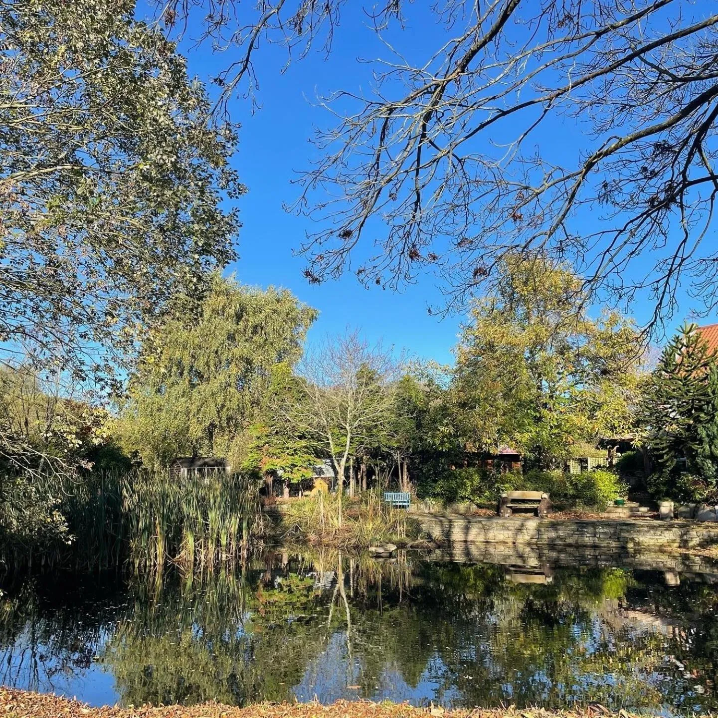 Garden in The Little Hide - Adult Only Camping Pods