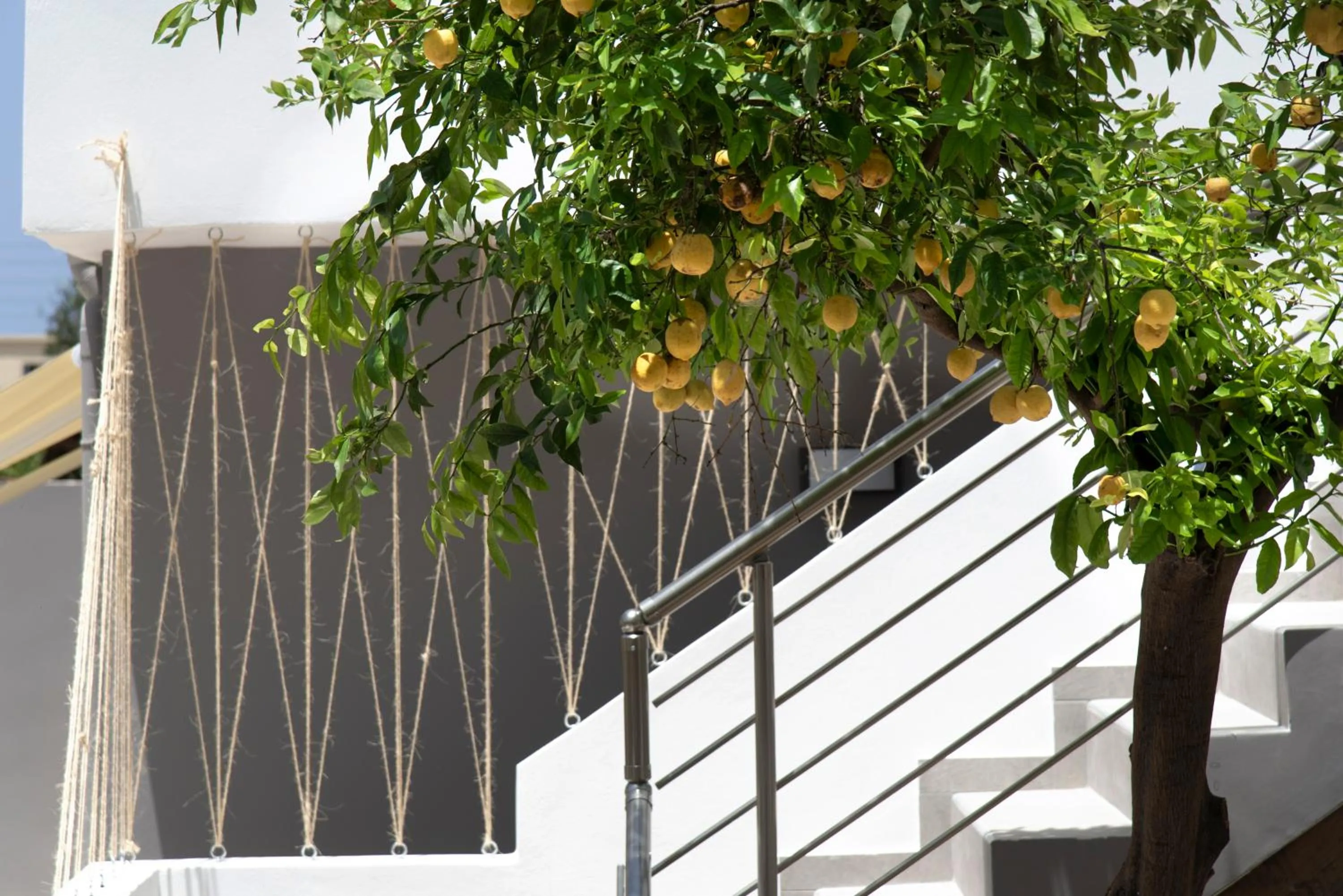 Garden in Chania Design Suites