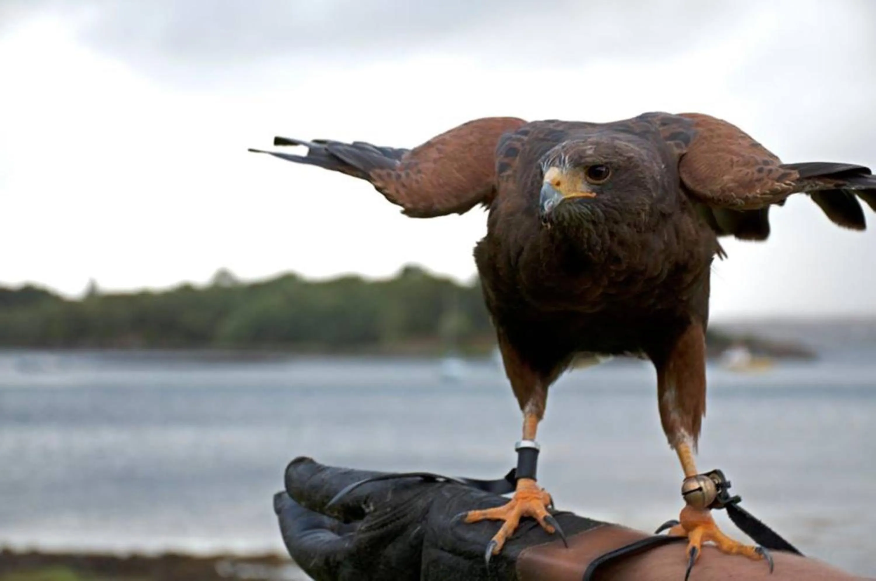 Sports in Shieldaig Lodge Hotel