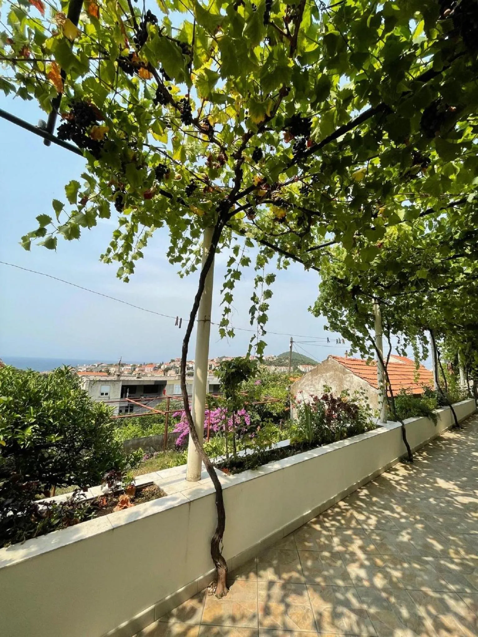 Balcony/Terrace in Guest House Luce