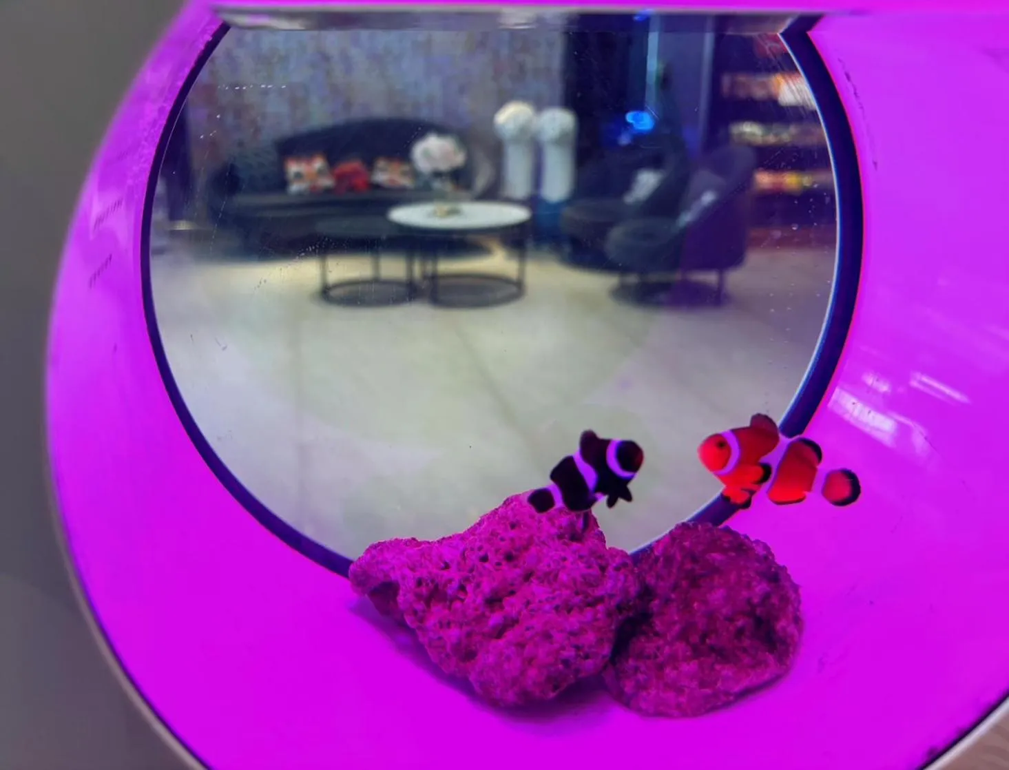 HopeCity MinSheng Hotel