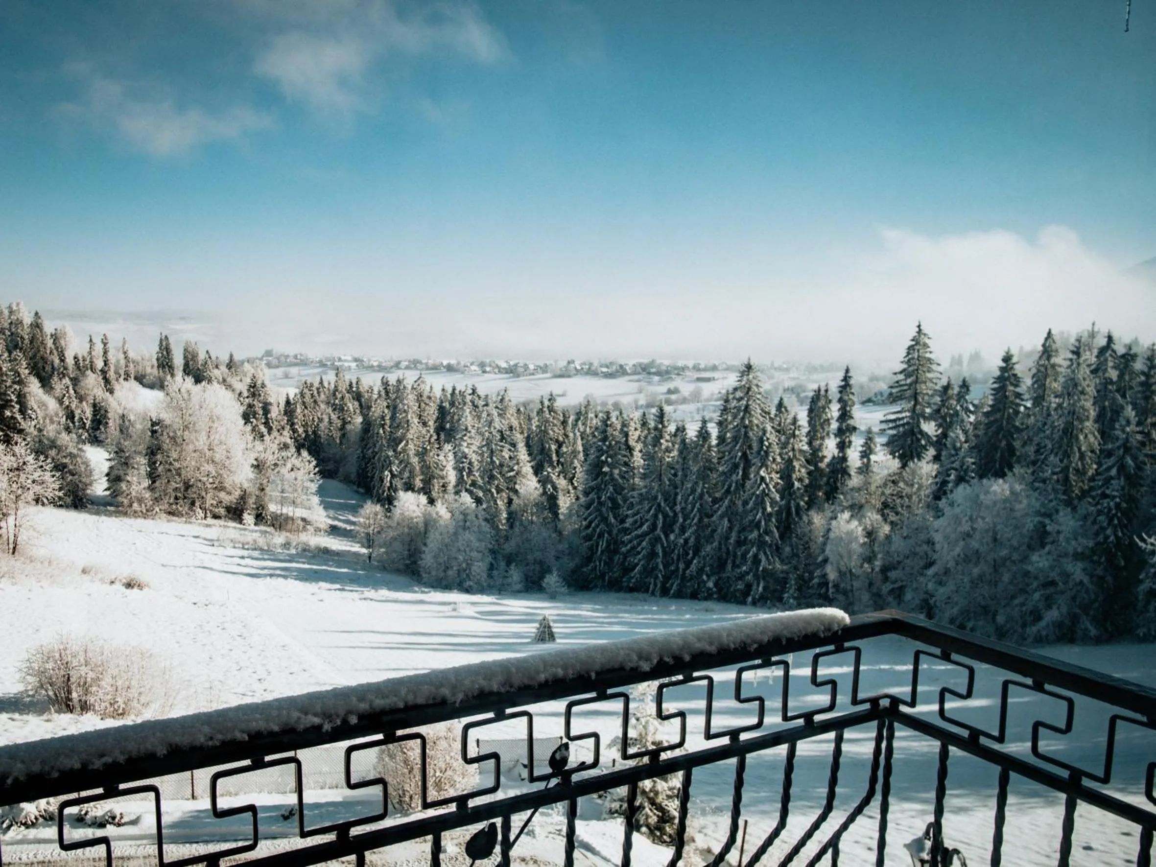 Mountain view in Willa Pachówka - tam, gdzie natura spotyka się z nowoczesnością