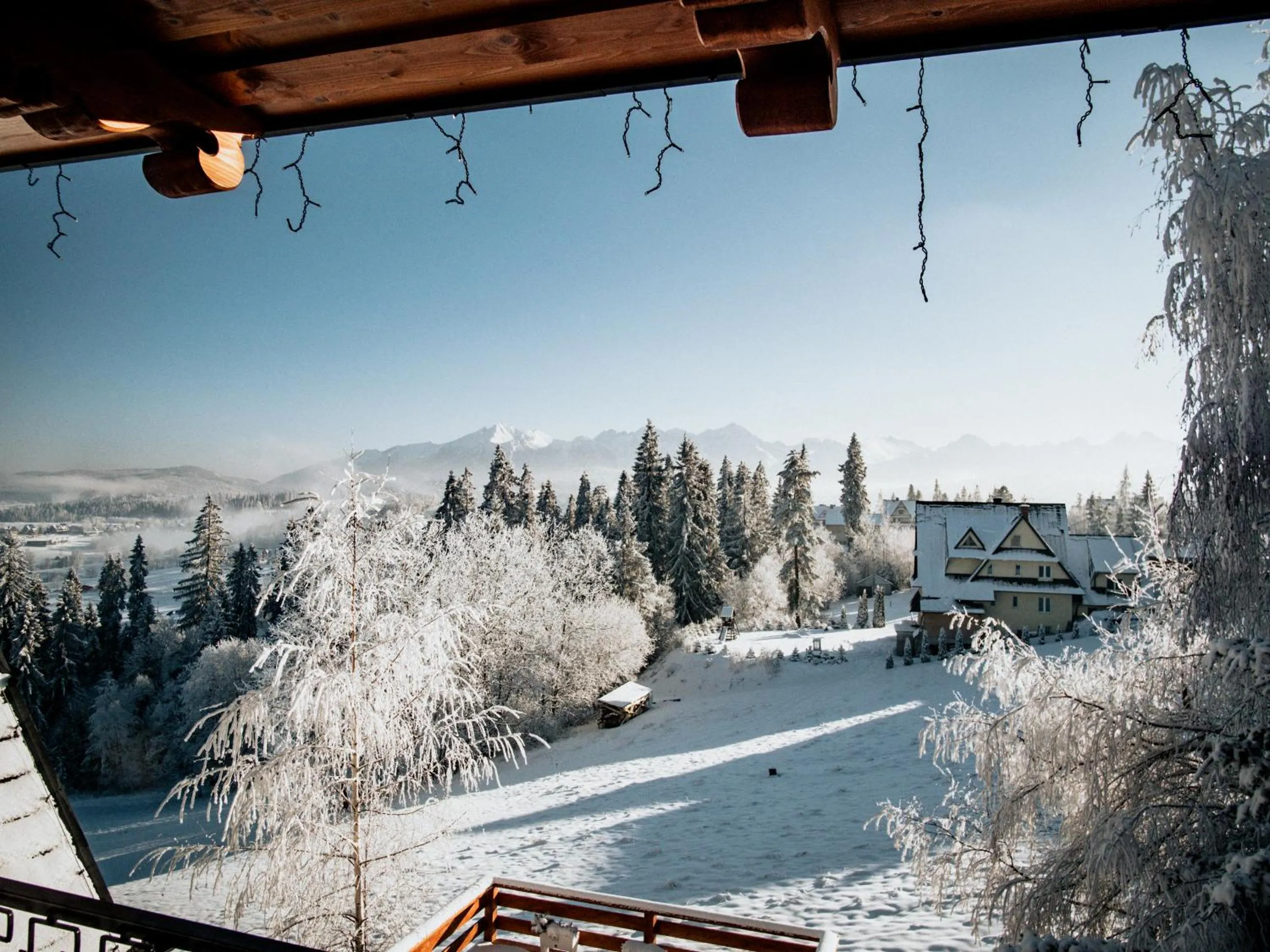 View (from property/room) in Willa Pachówka - tam, gdzie natura spotyka się z nowoczesnością