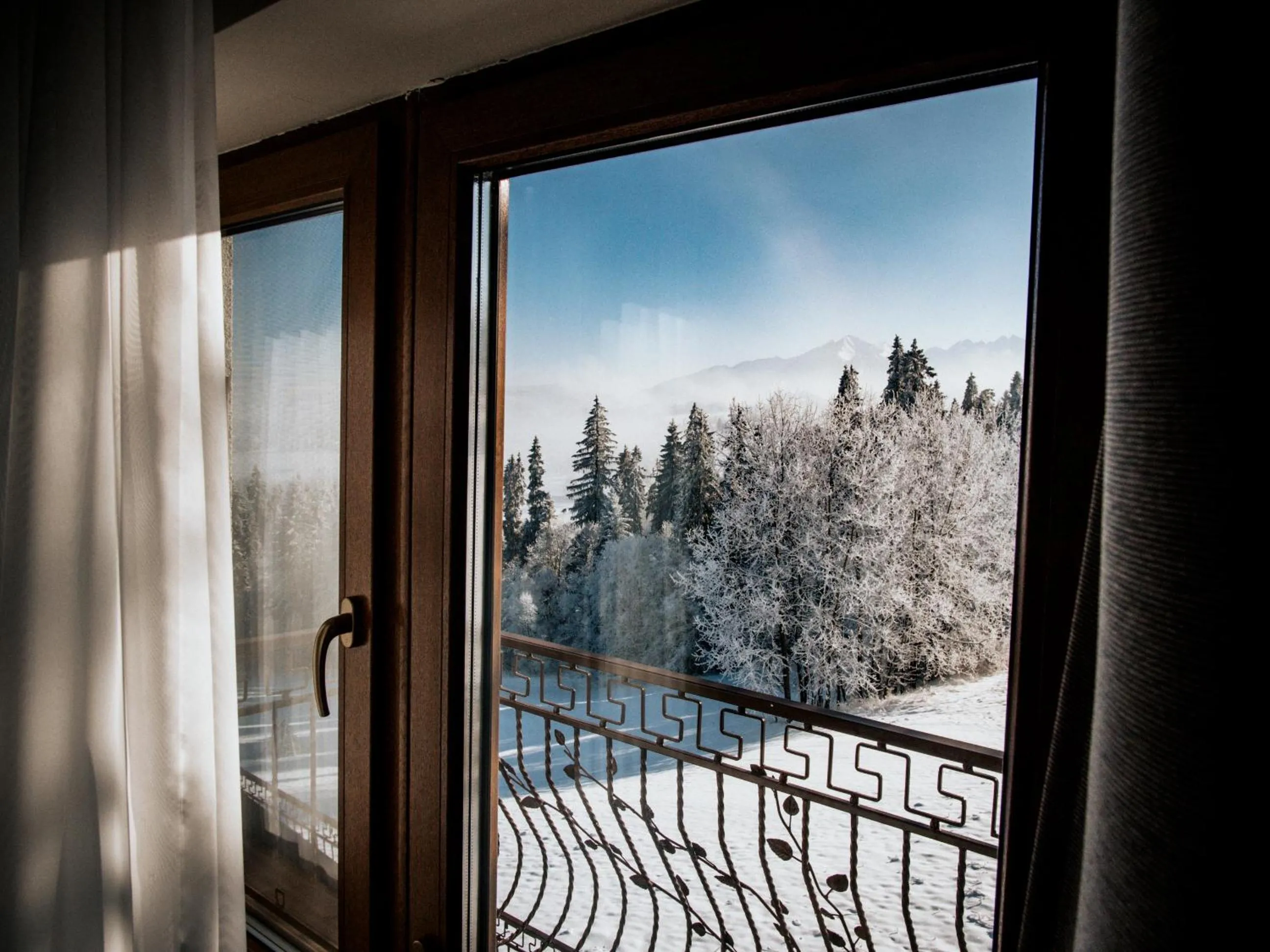 View (from property/room) in Willa Pachówka - tam, gdzie natura spotyka się z nowoczesnością