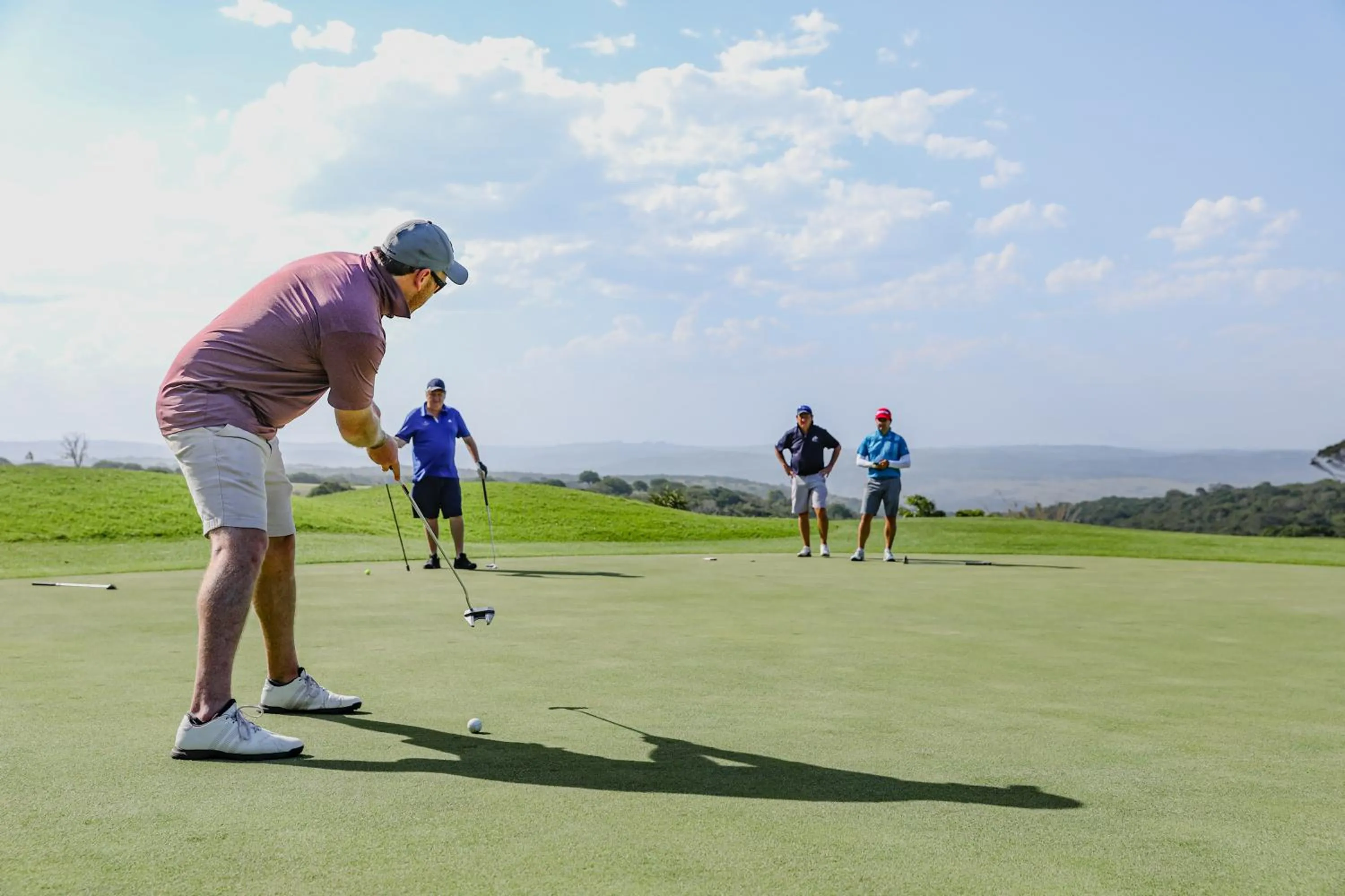 Activities in Hotel Olivewood