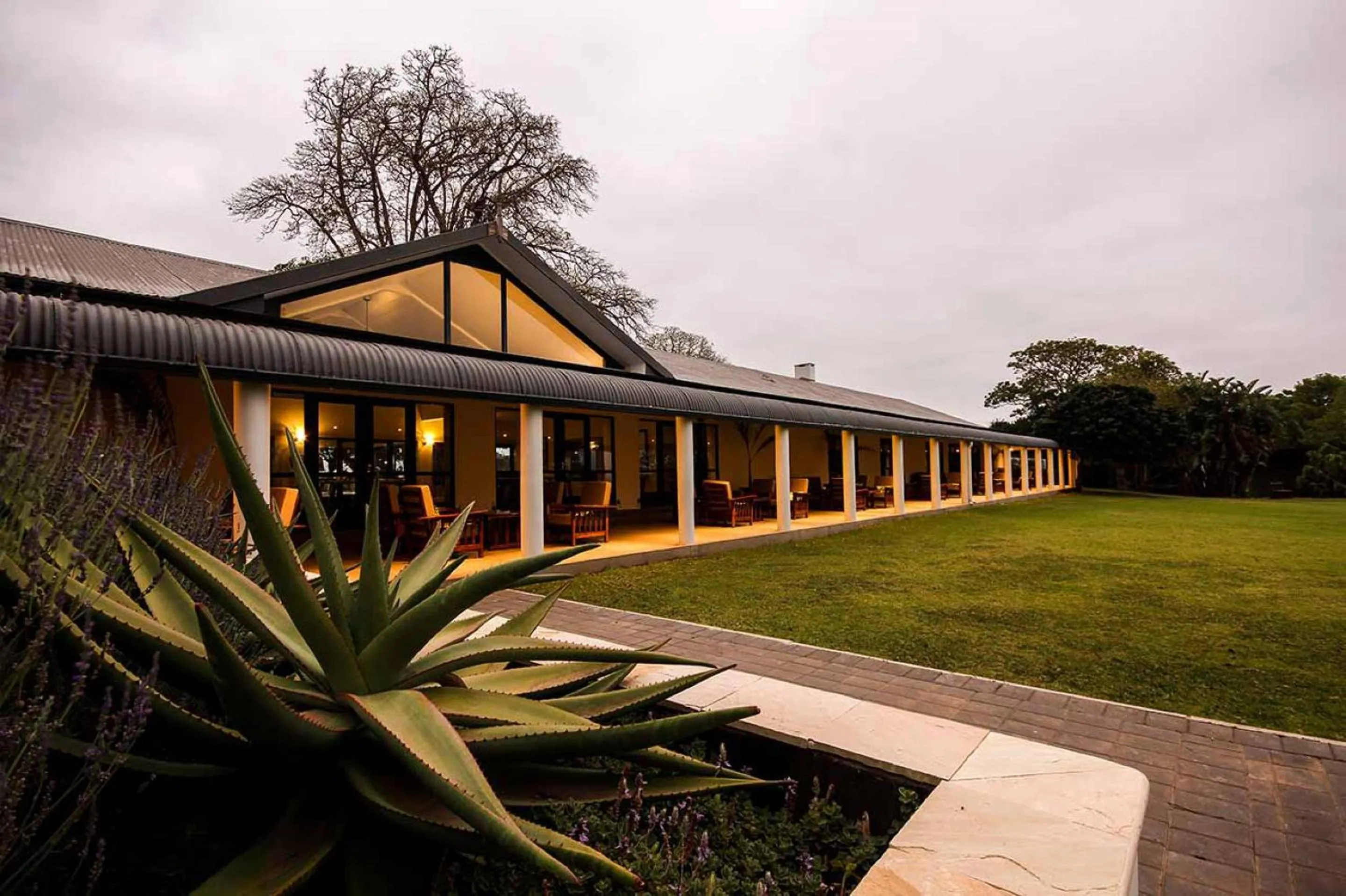 Property building in Hotel Olivewood