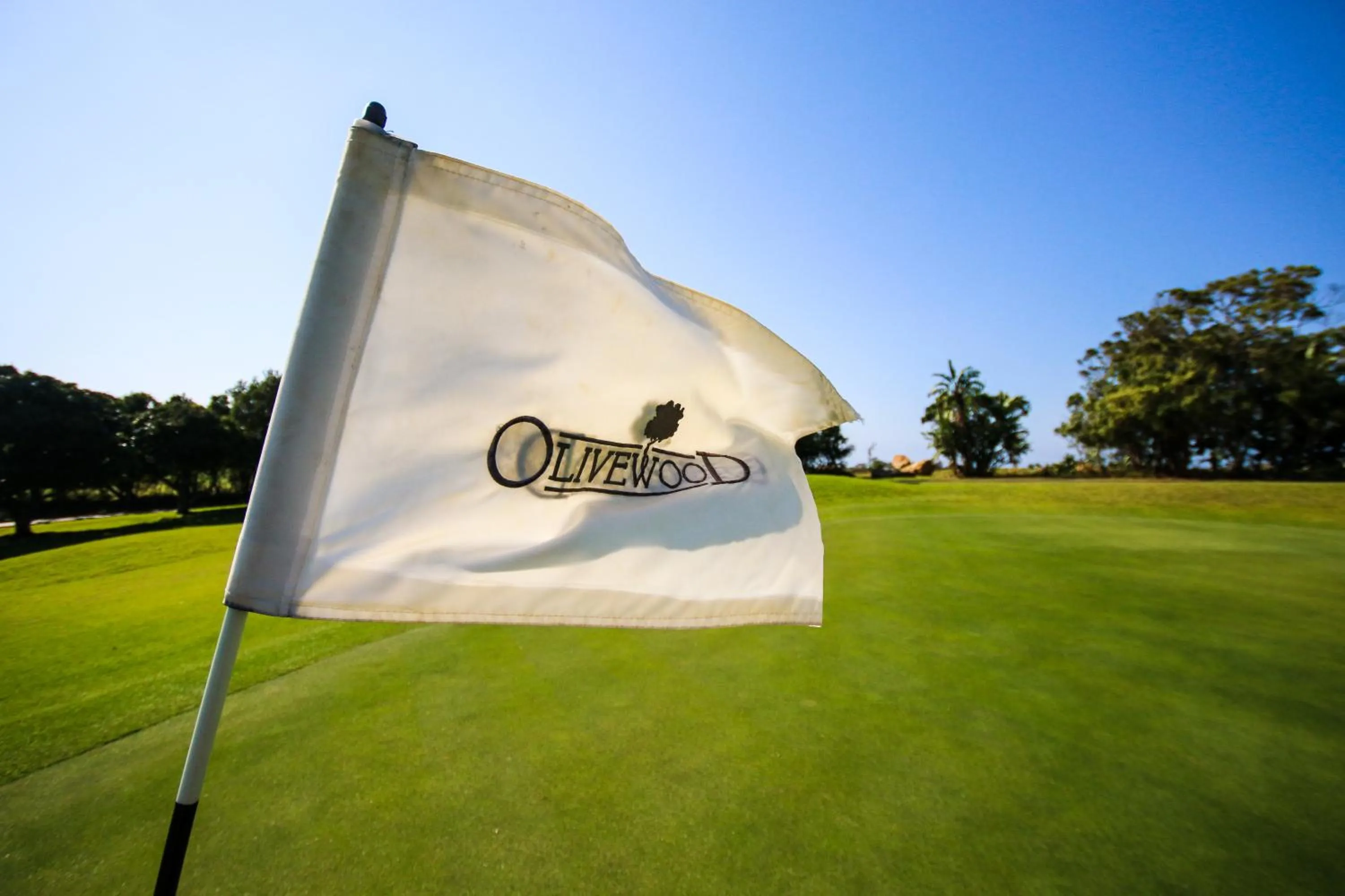 Golfcourse in Hotel Olivewood