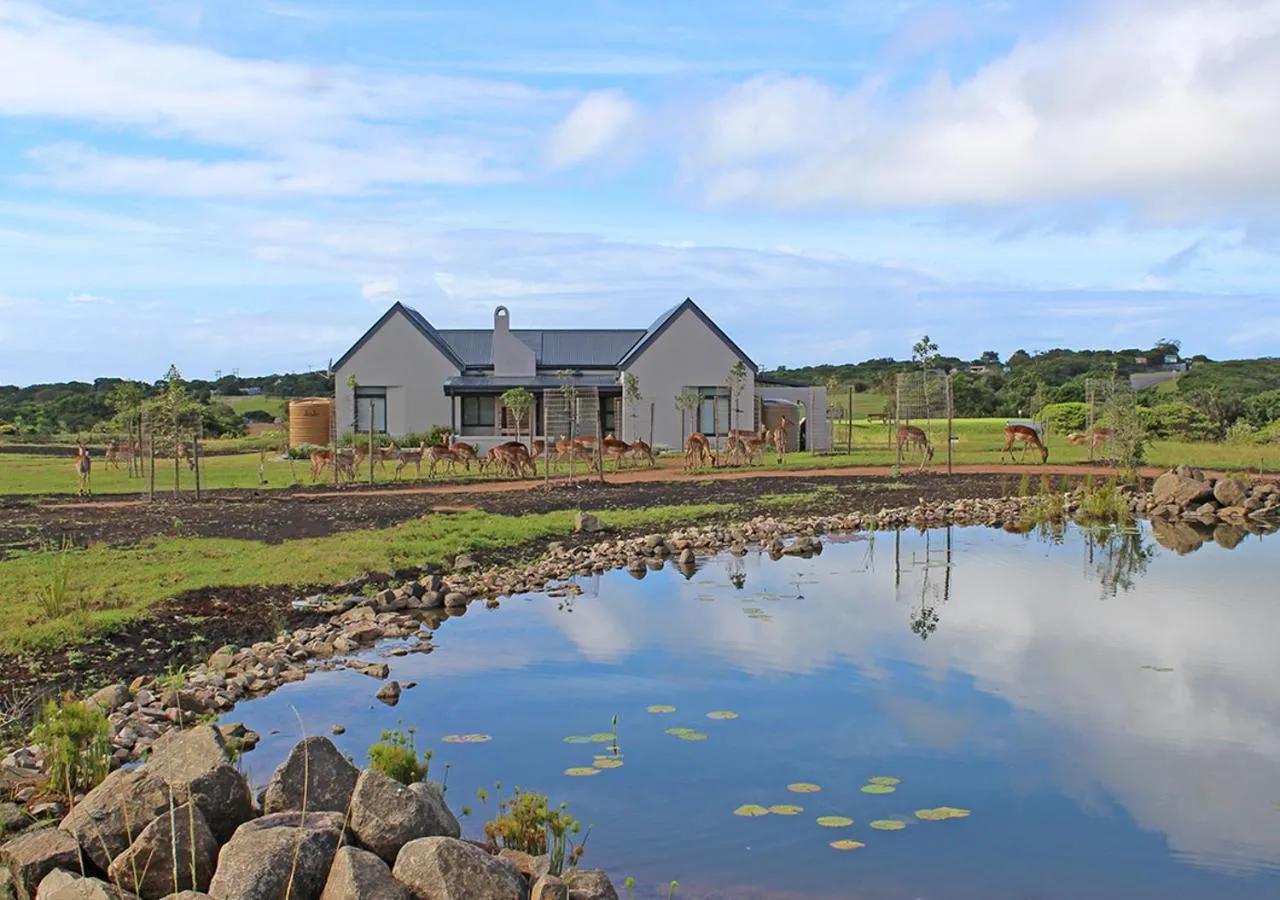 Property building in Hotel Olivewood