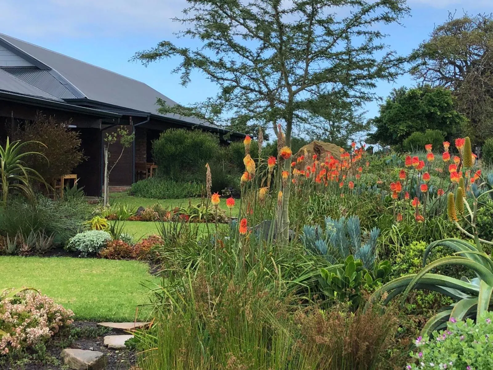 Property building in Hotel Olivewood