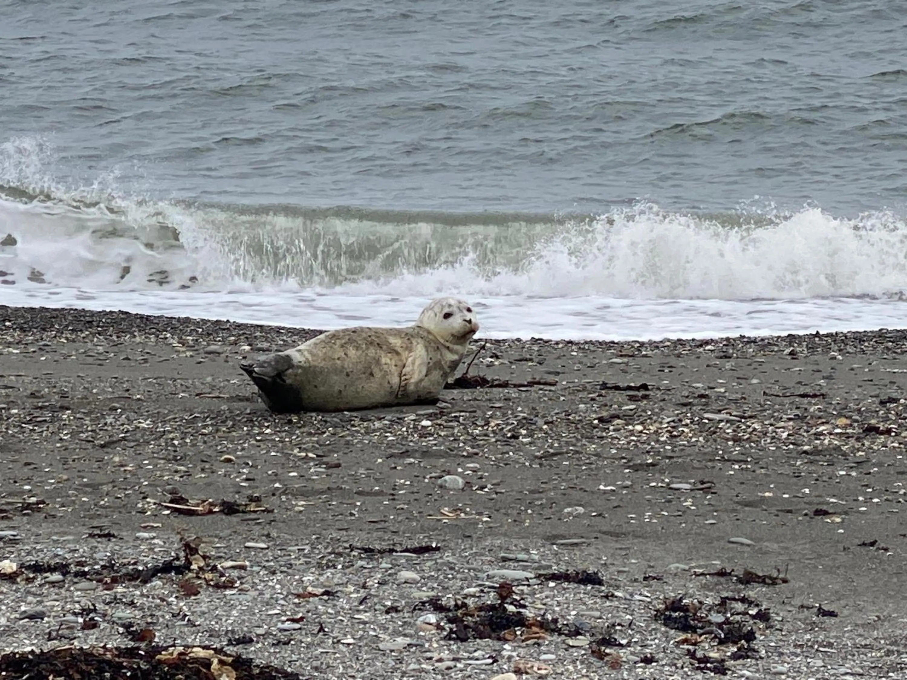 Beach in La Maison entre Mer Montagnes