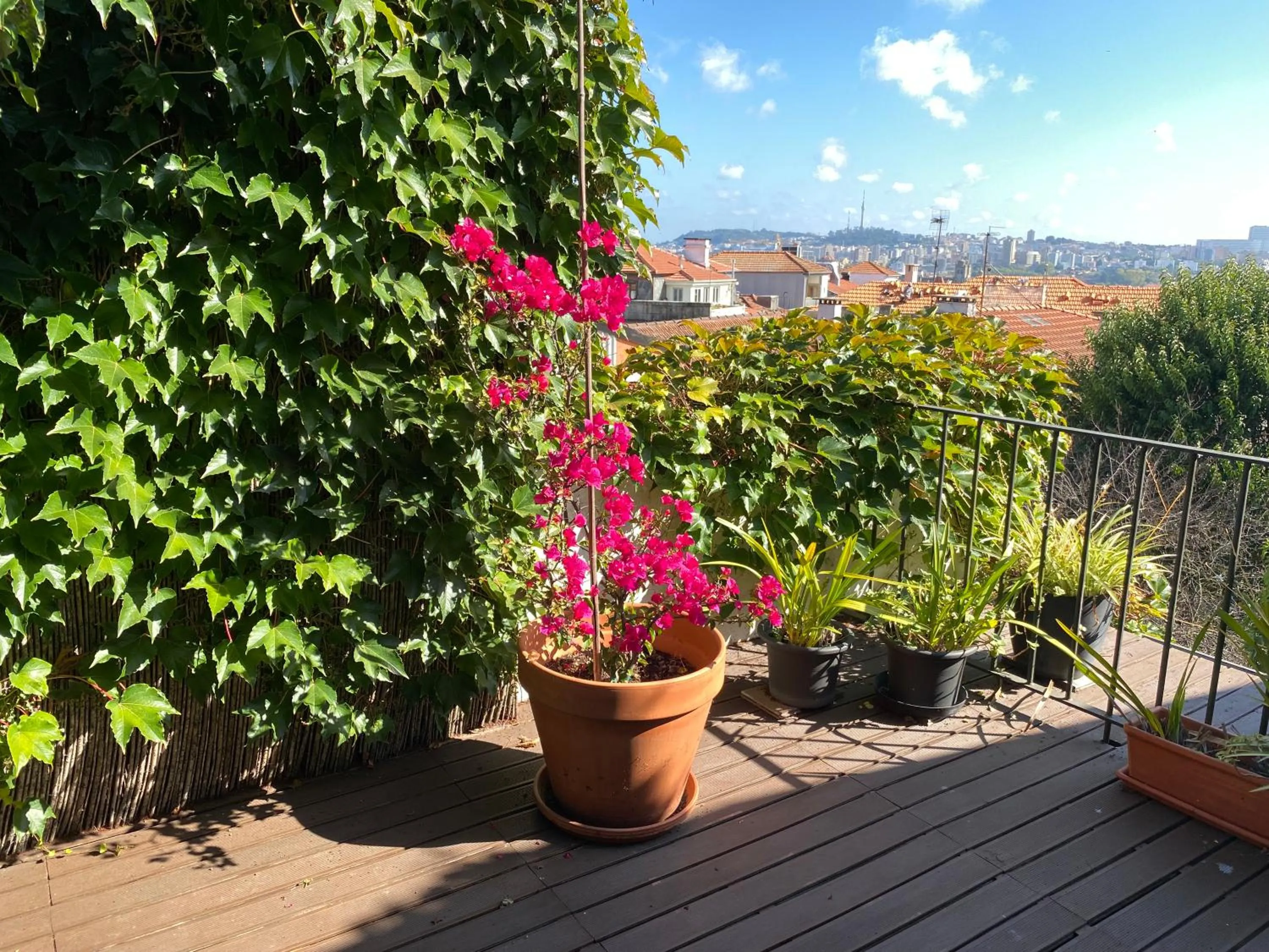 Balcony/Terrace in Casa 45 Porto
