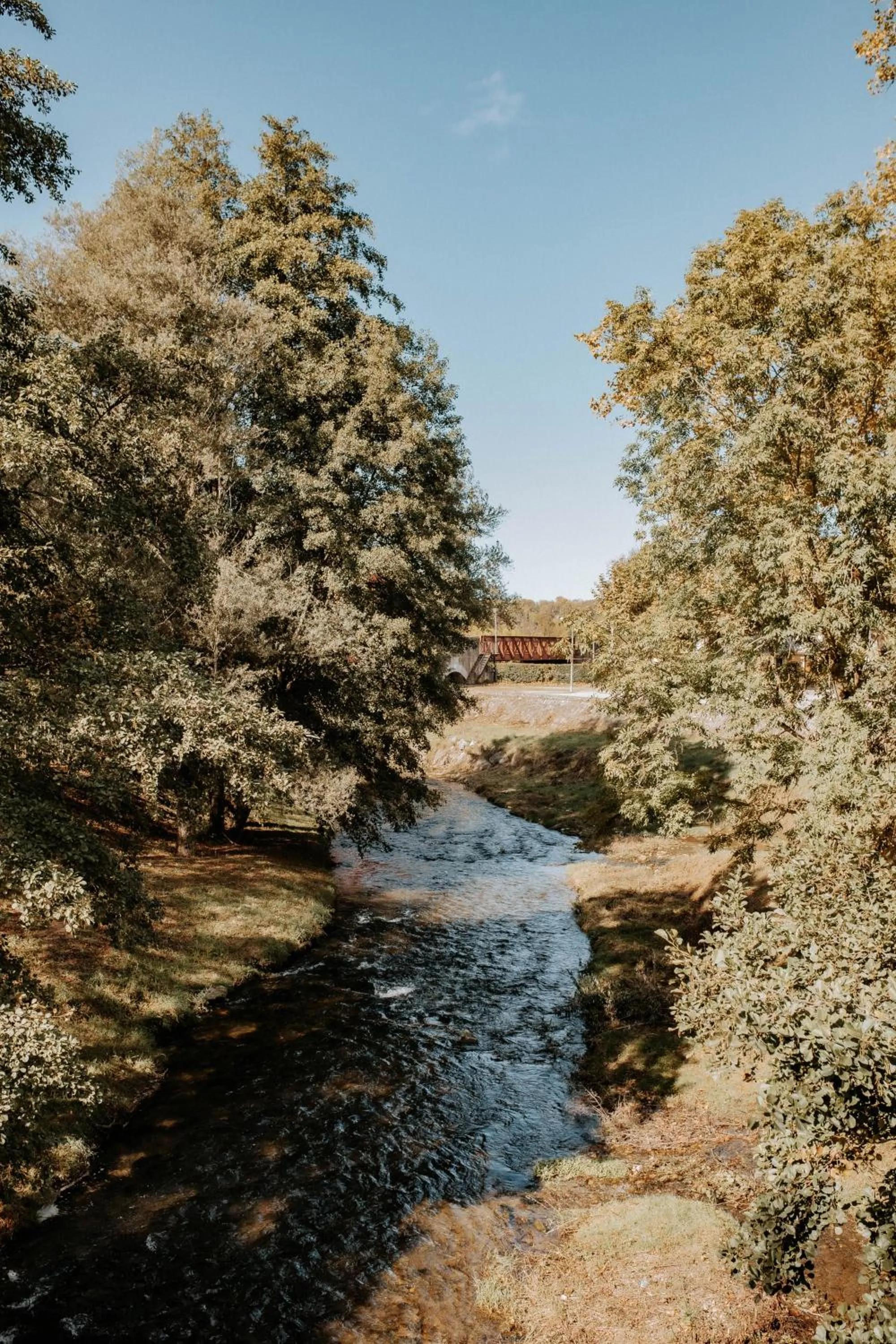 Activities in Hôtel De France