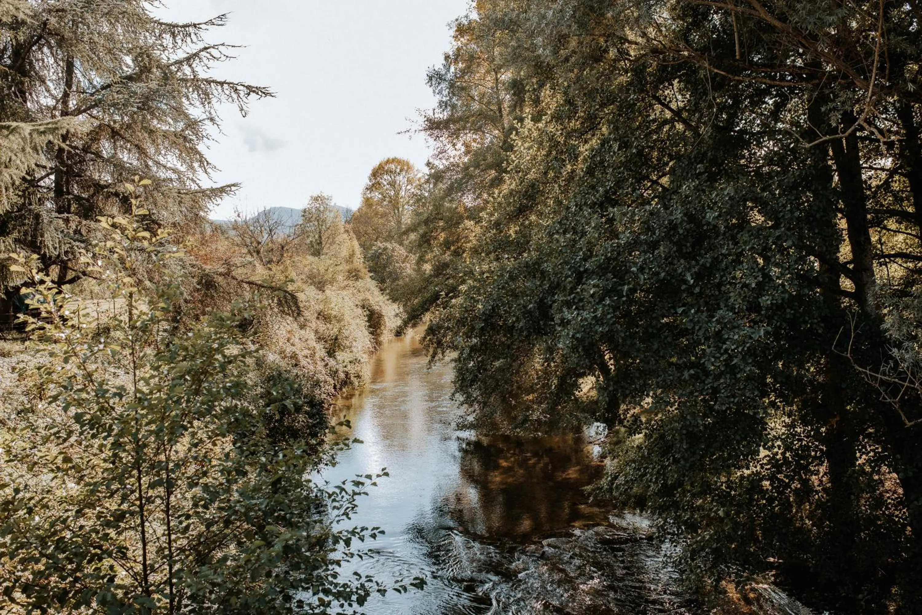 Activities in Hôtel De France
