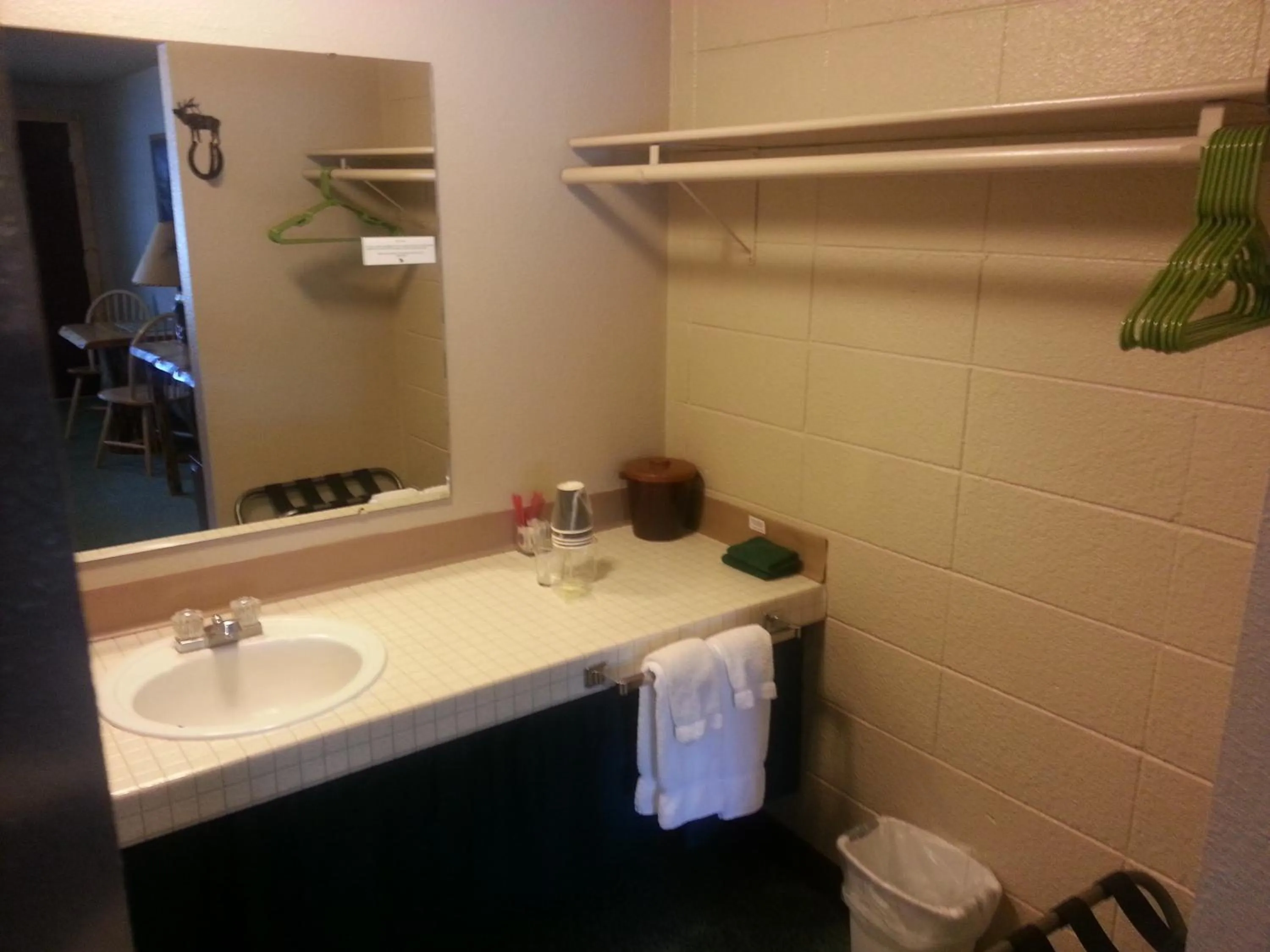 Bathroom in Mingo Motel