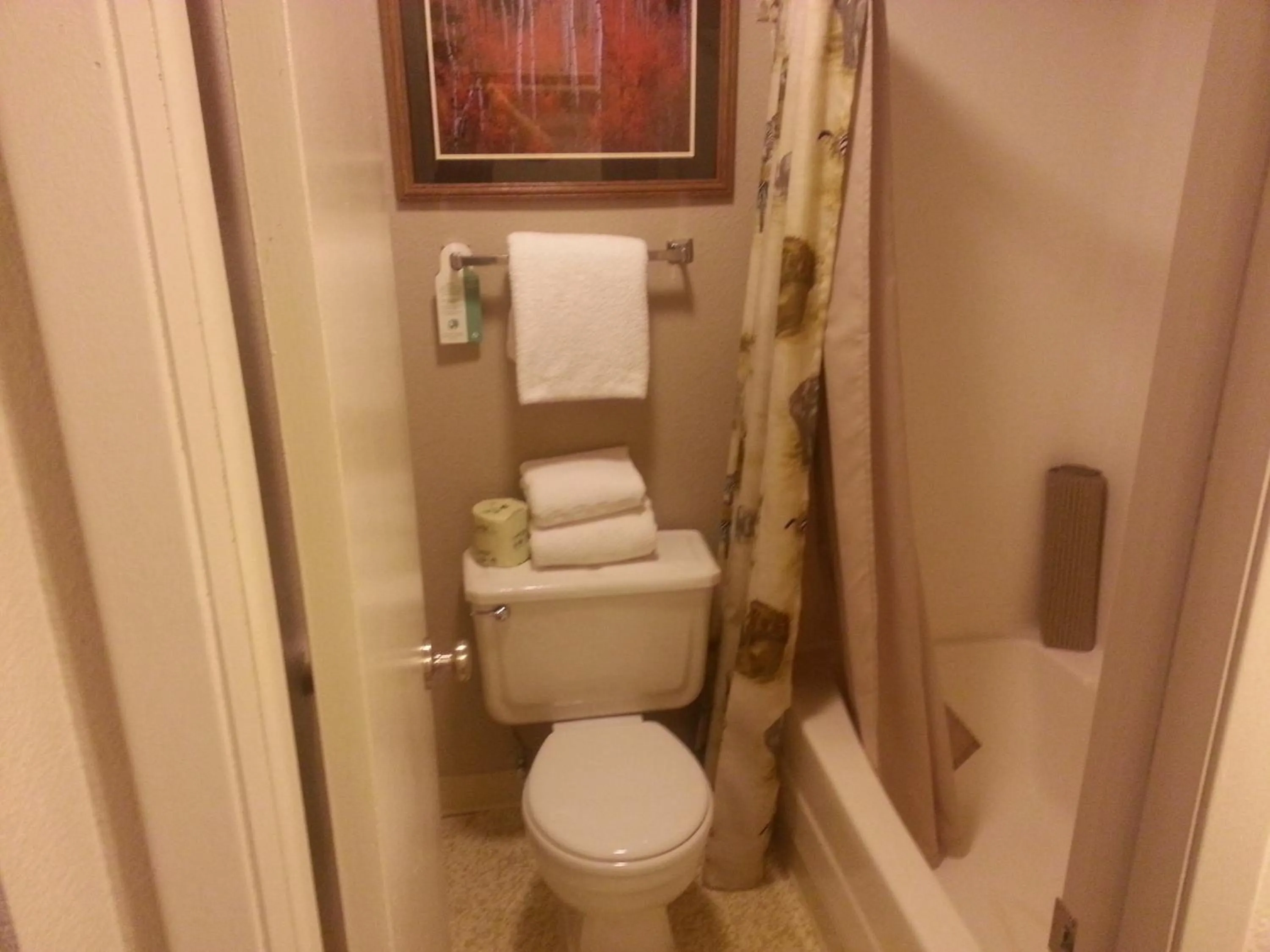 Bathroom in Mingo Motel