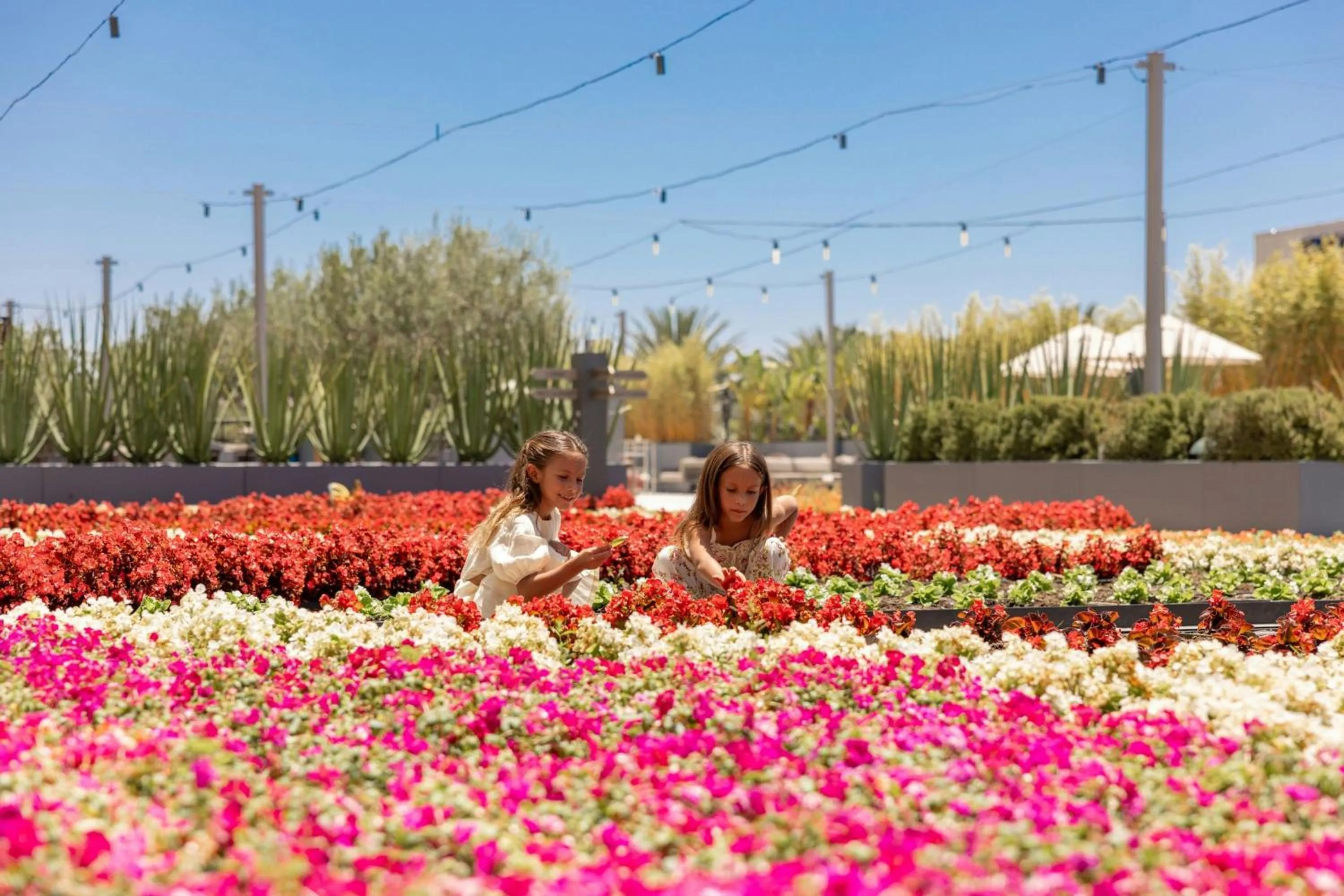 View (from property/room) in JW Marriott, Anaheim Resort