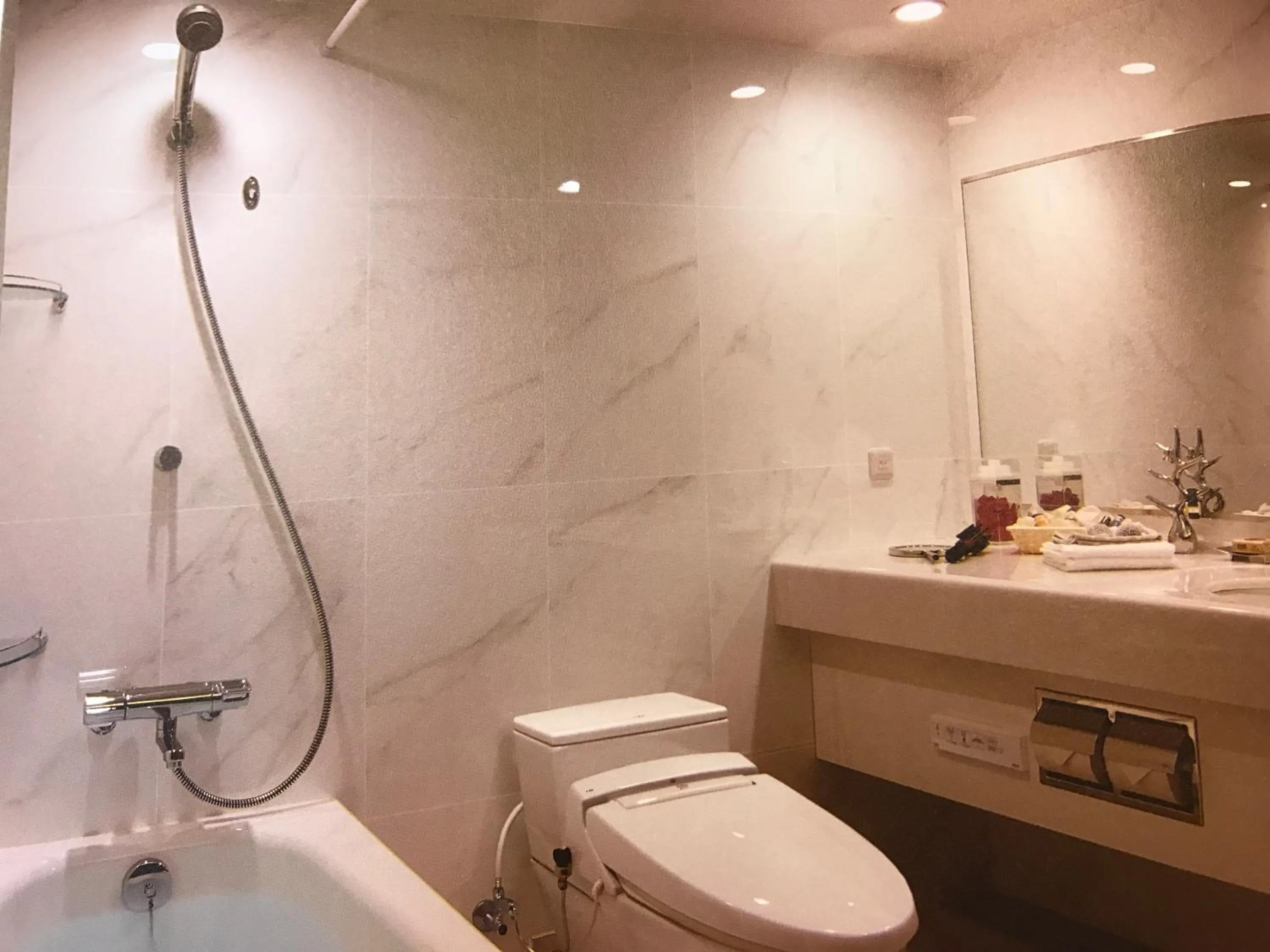 Toilet in Nishiyama Ryokan - Established in 1953