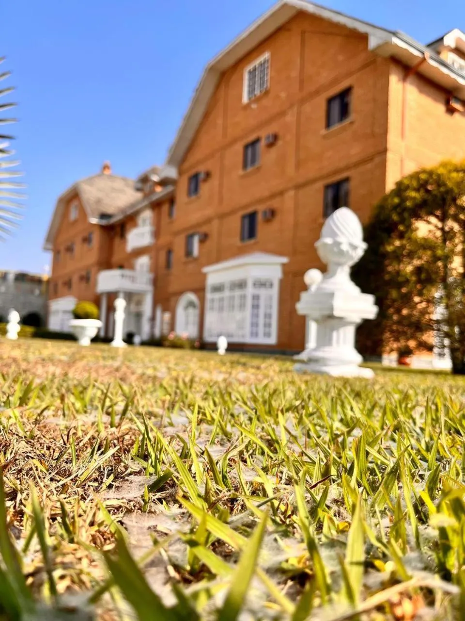 Garden view in Grand Ville Hotel