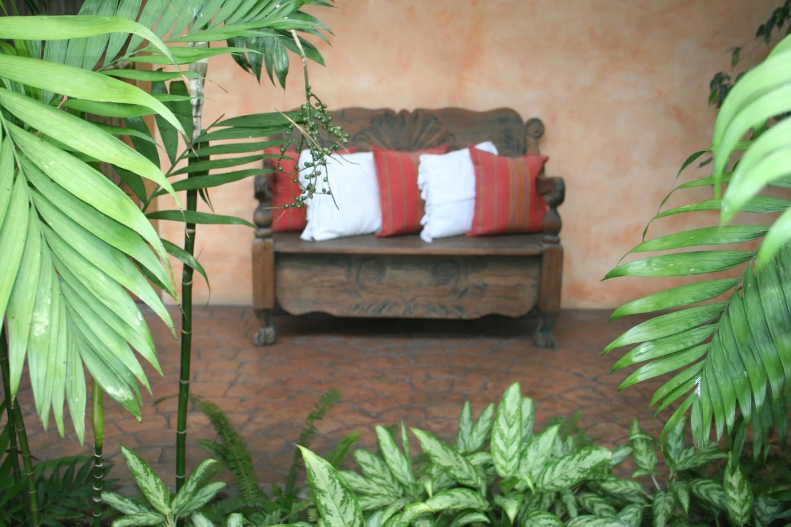 On site in Hotel Ciudad Vieja