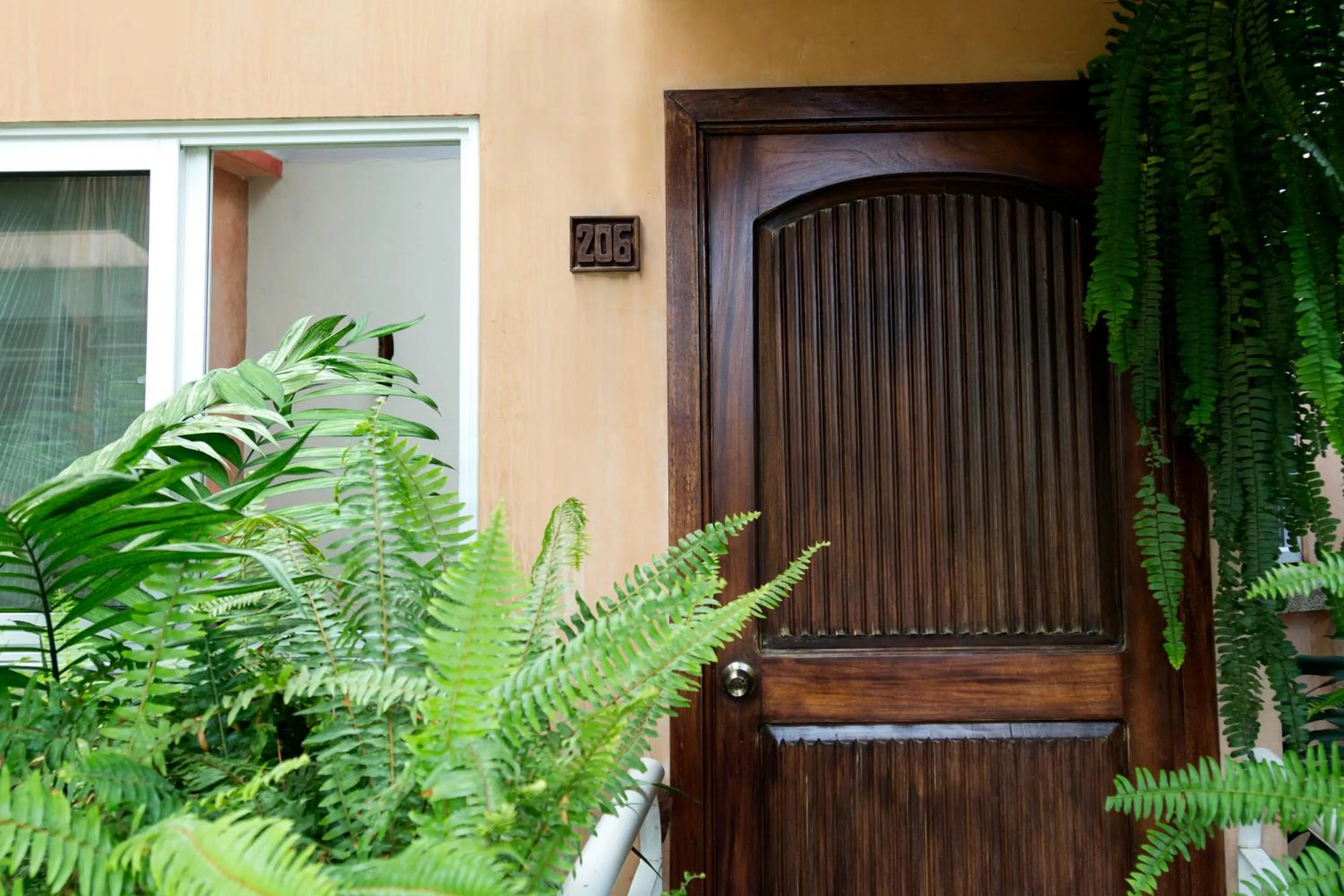 Photo of the whole room in Hotel Ciudad Vieja