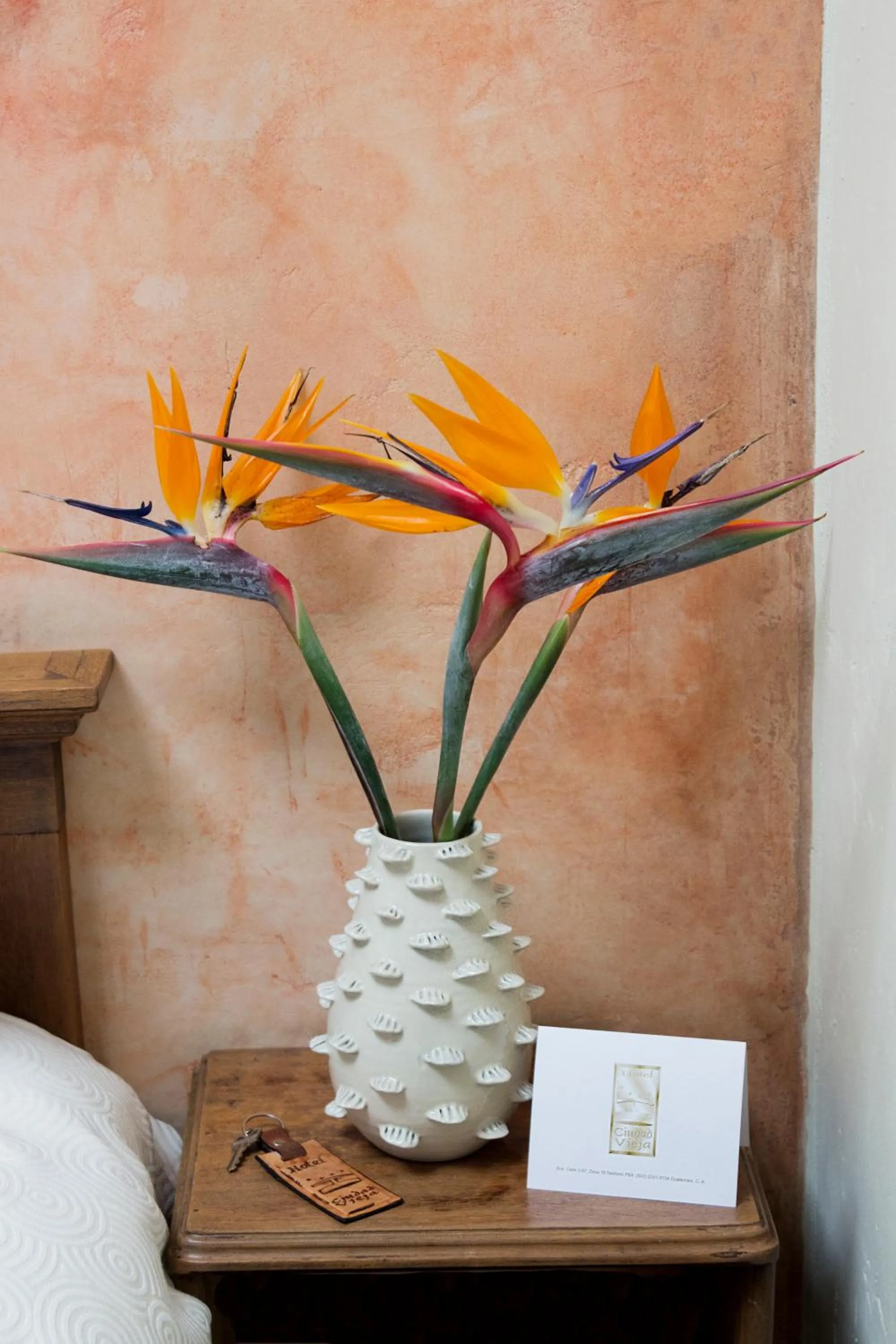 Decorative detail in Hotel Ciudad Vieja