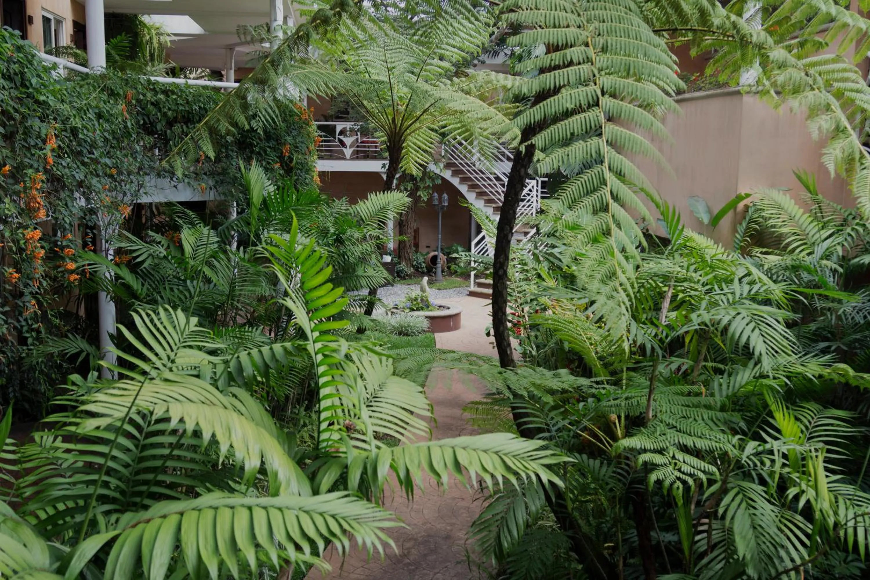 Garden view in Hotel Ciudad Vieja