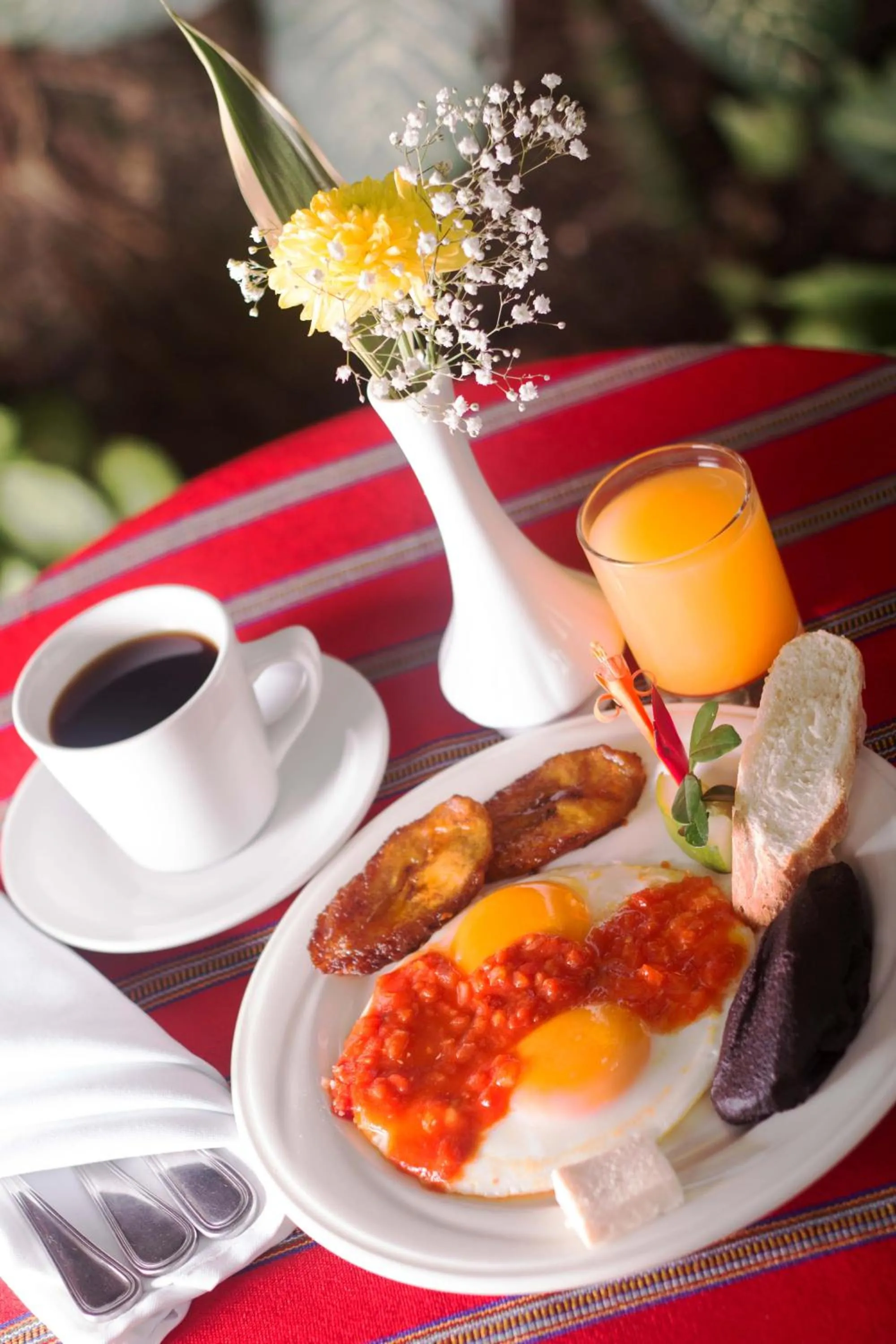 Restaurant/places to eat in Hotel Ciudad Vieja