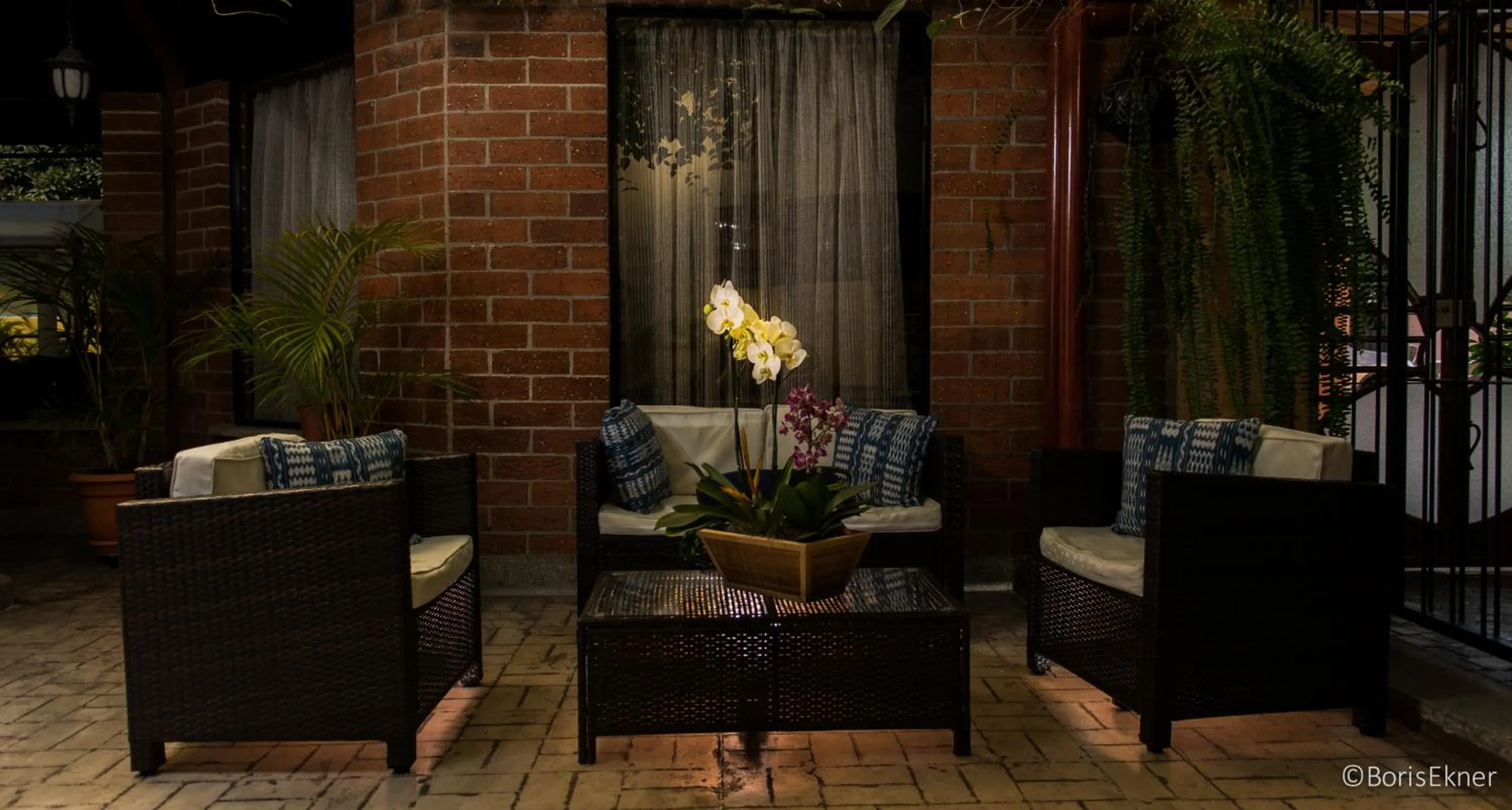 Garden in Hotel Ciudad Vieja