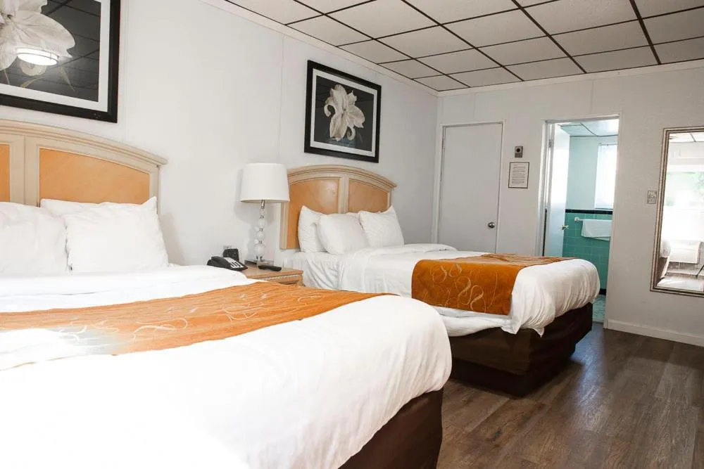 Bed in Bedford Motel