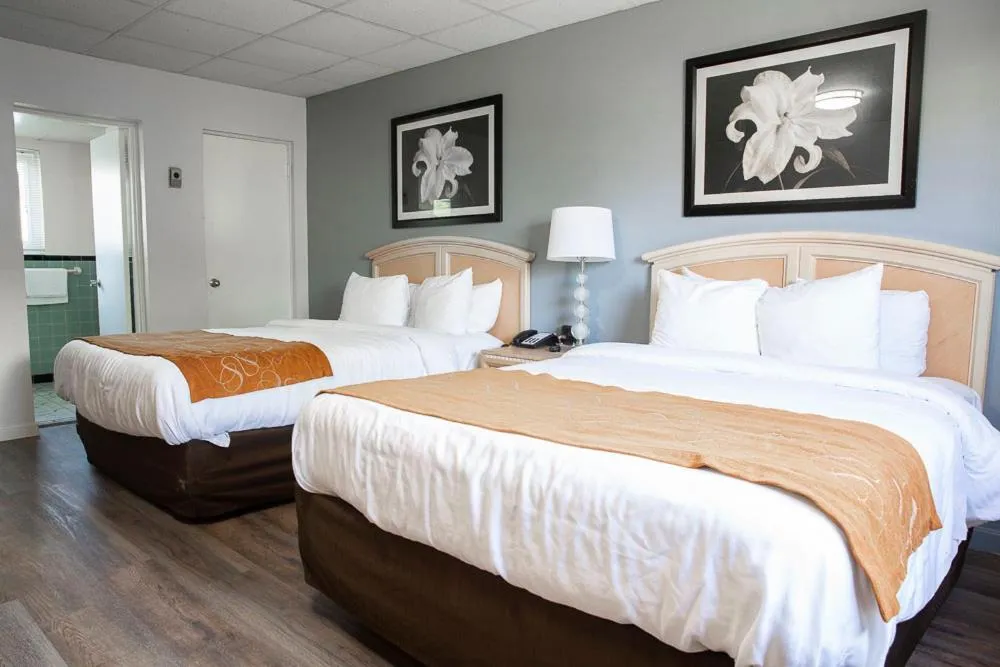 Bed in Bedford Motel