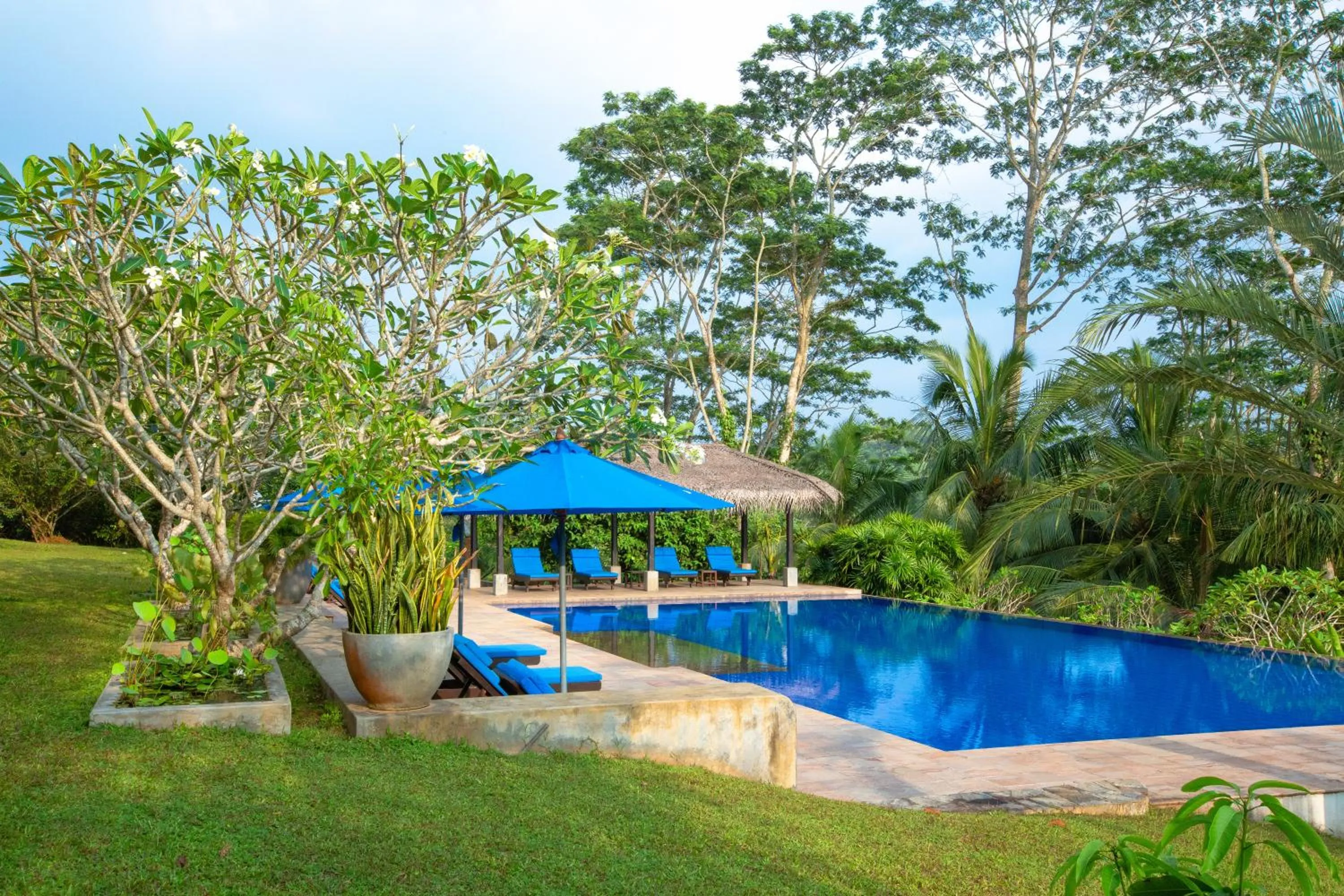 Swimming pool in Niyagama House