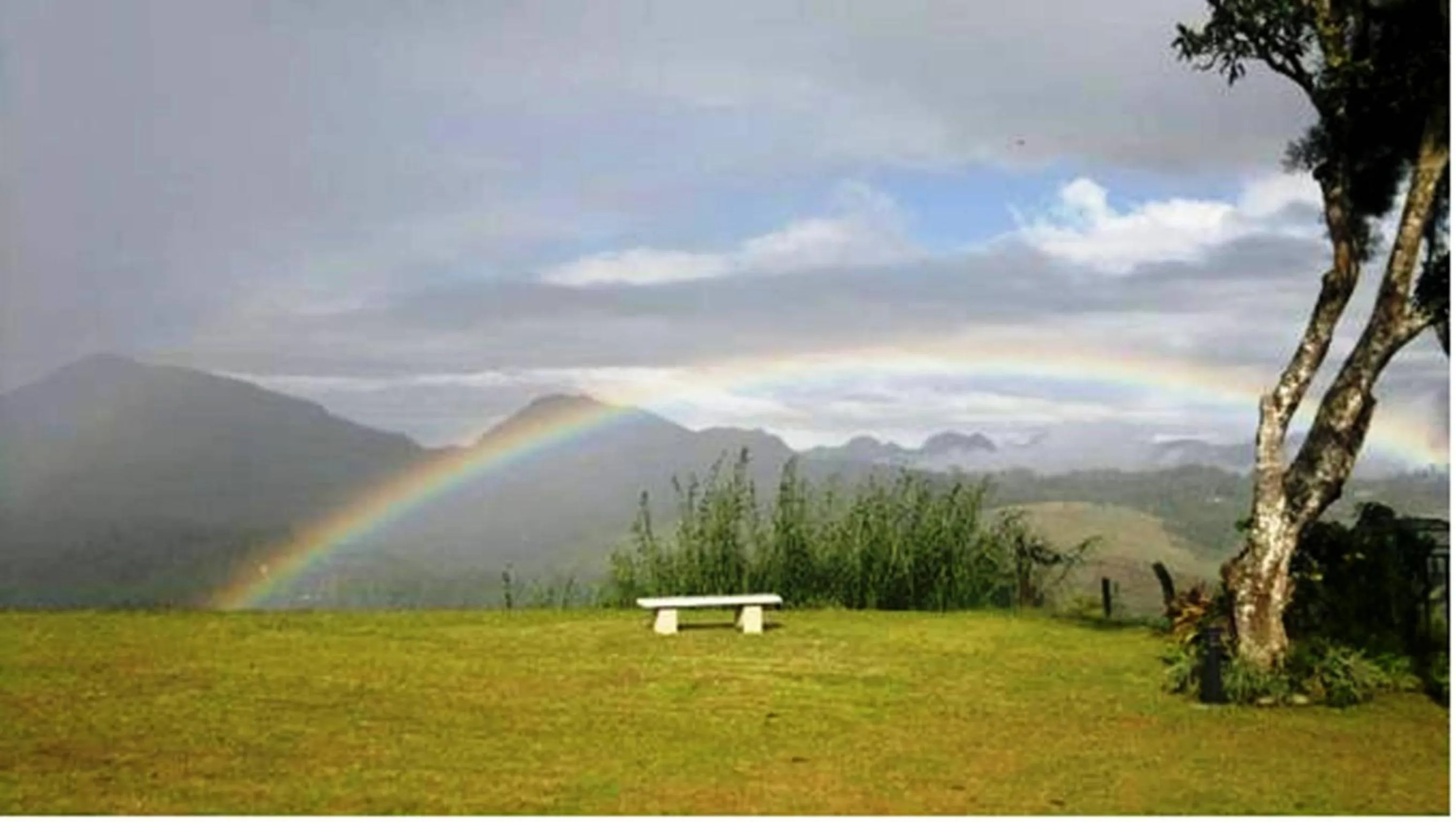 Natural landscape in Ancoombra Tea Estate Bungalow