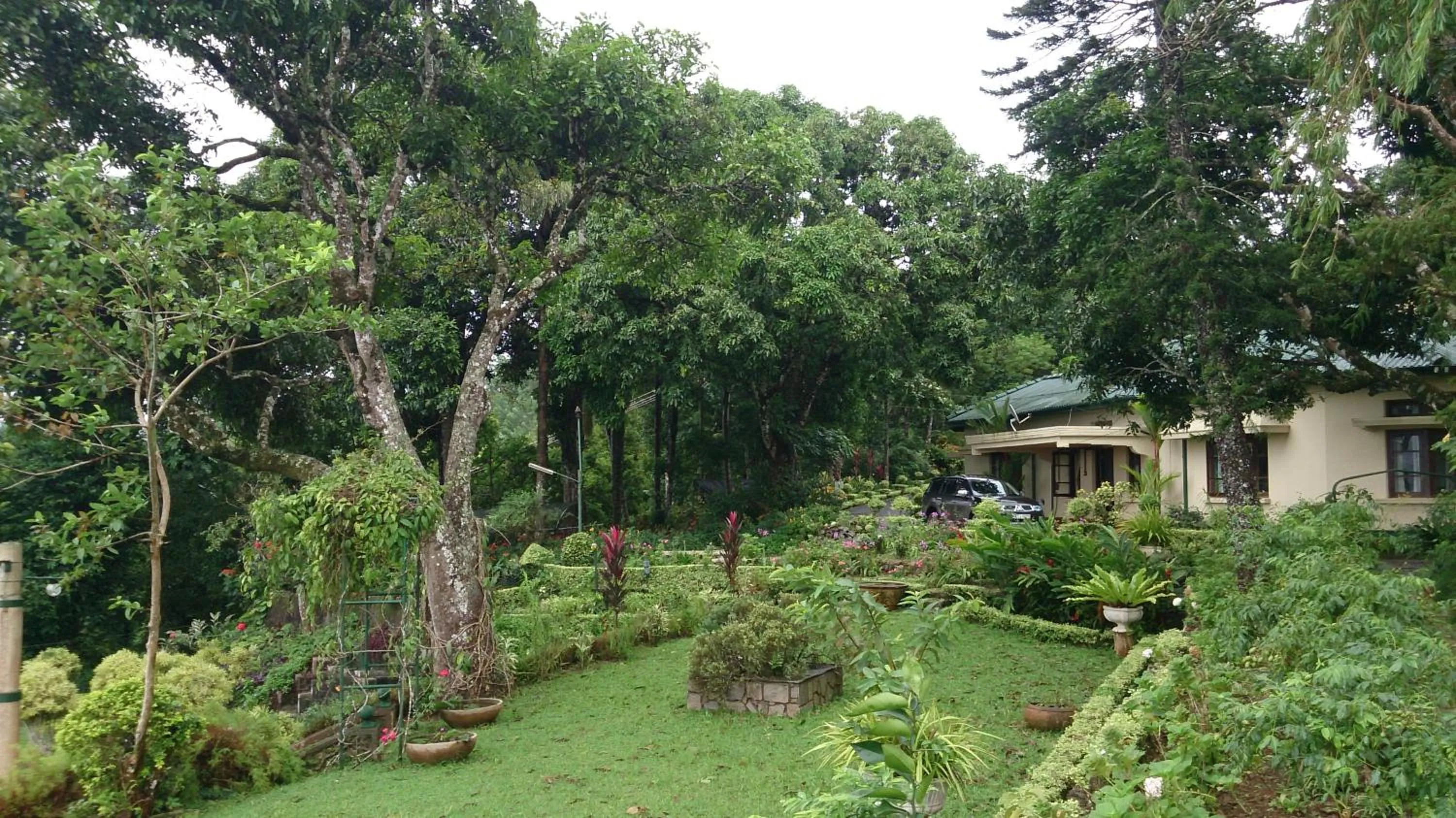 Garden view in Ancoombra Tea Estate Bungalow