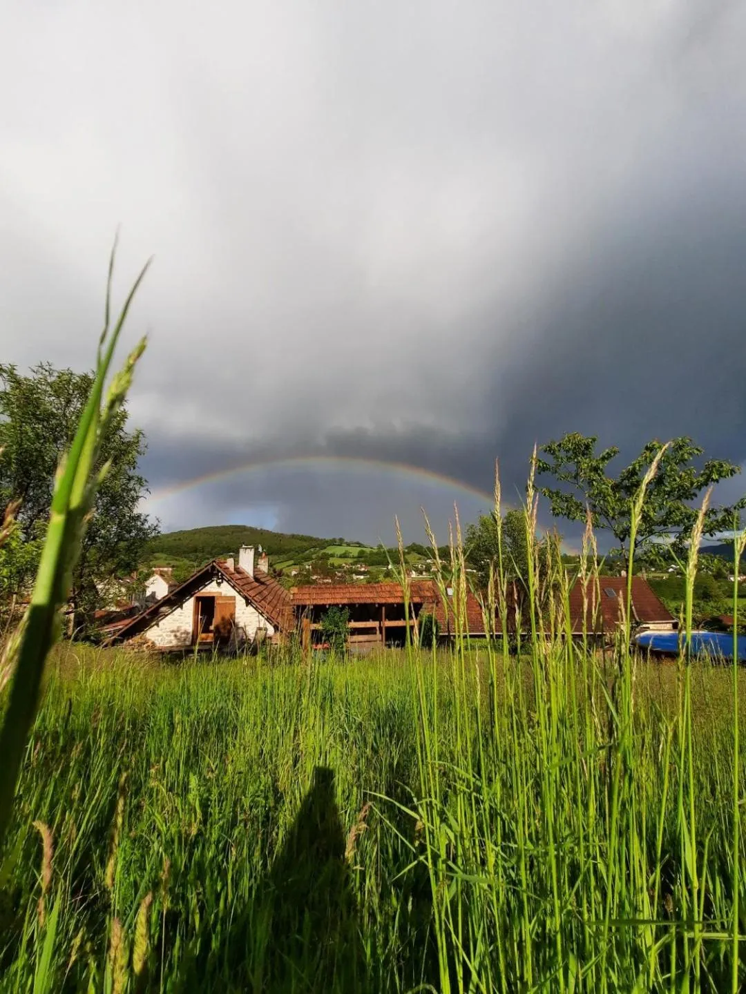 Garden in Chambres d'Hôtes Le Plessis à Broye