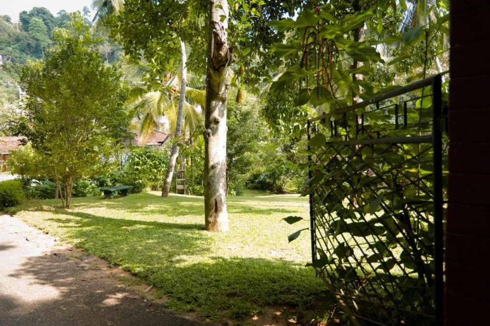 Garden in Clove Garden Kandy