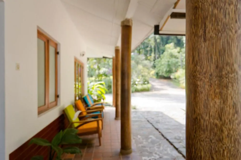 Garden view in Clove Garden Kandy