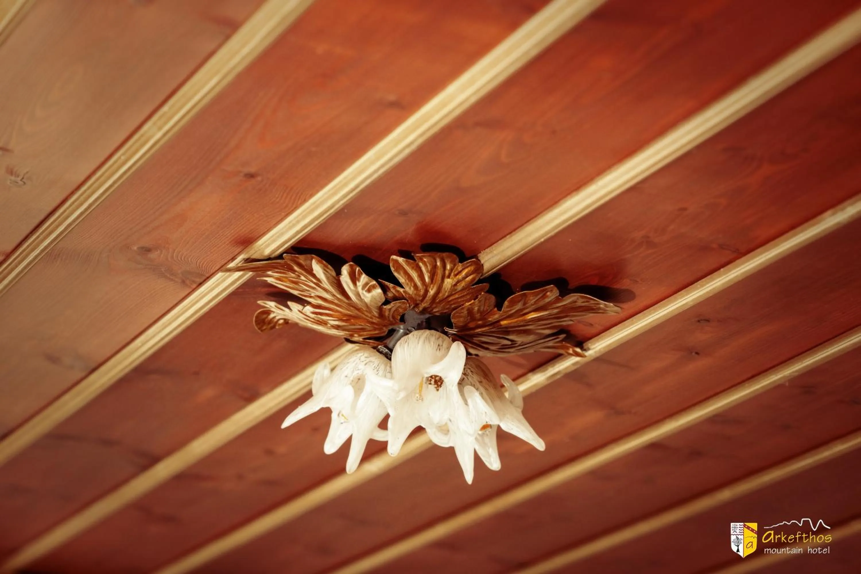 Decorative detail in Arkefthos Mountain Hotel