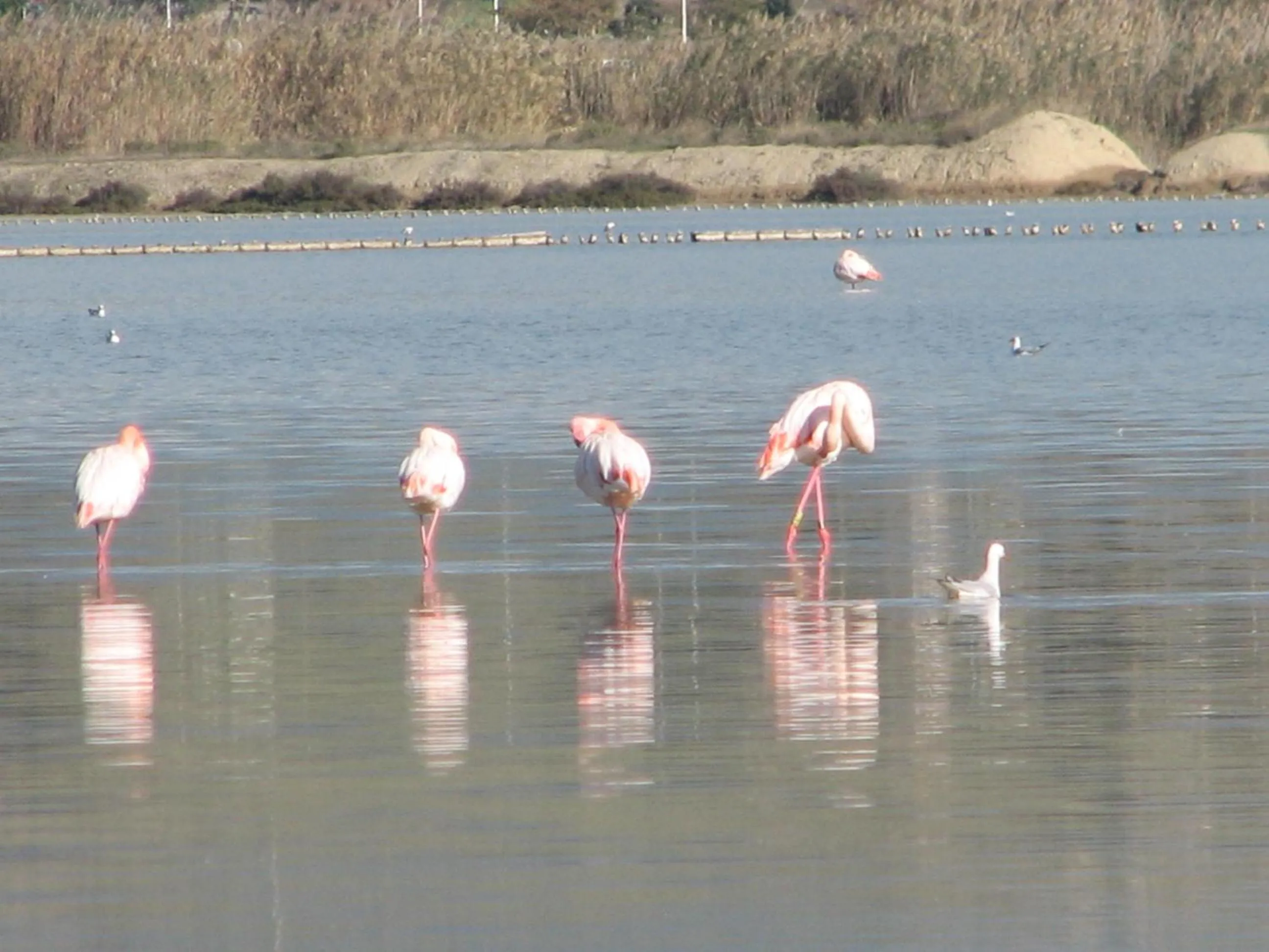 Natural landscape in Villabeachcity Guesthouse