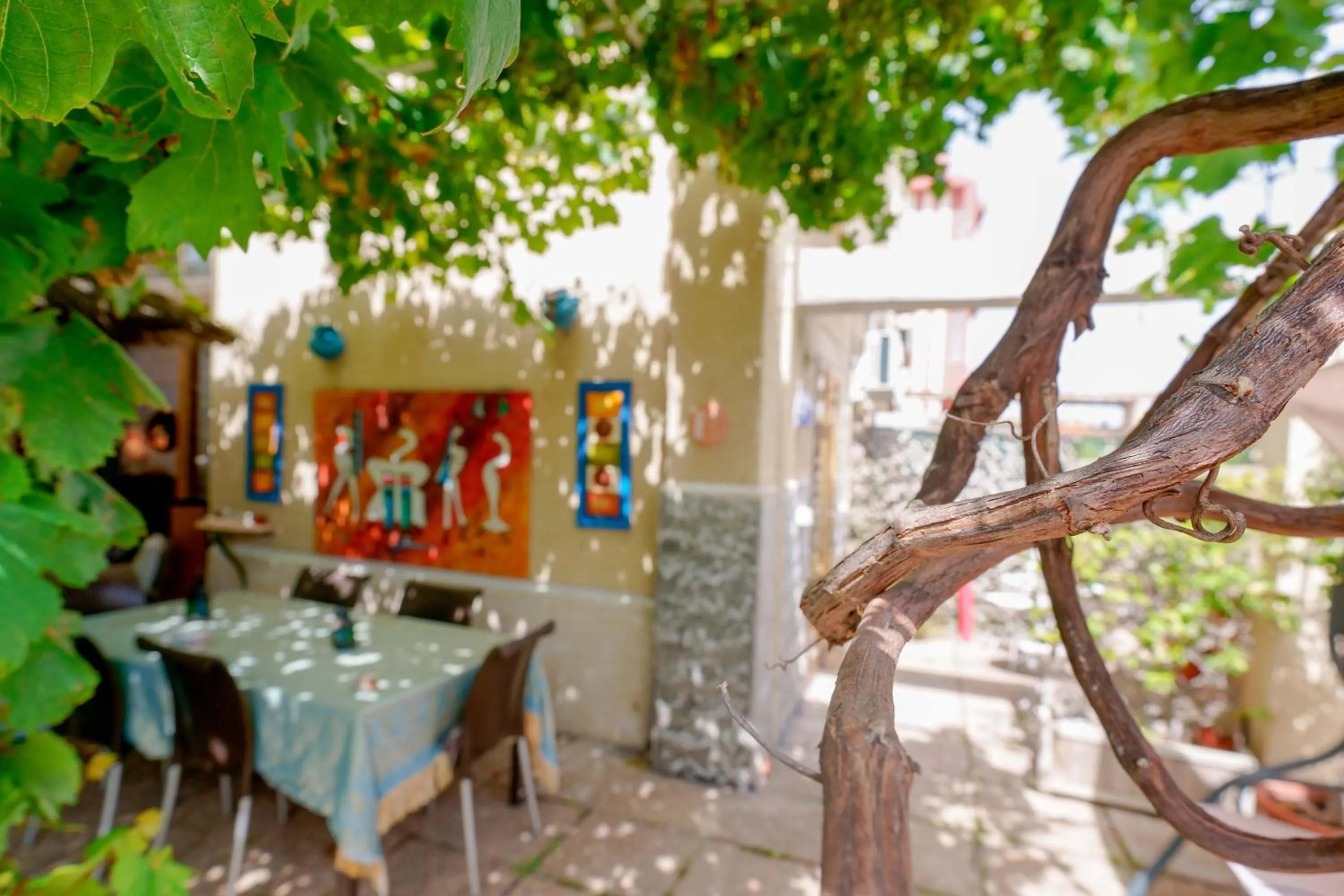 Garden in Villabeachcity Guesthouse