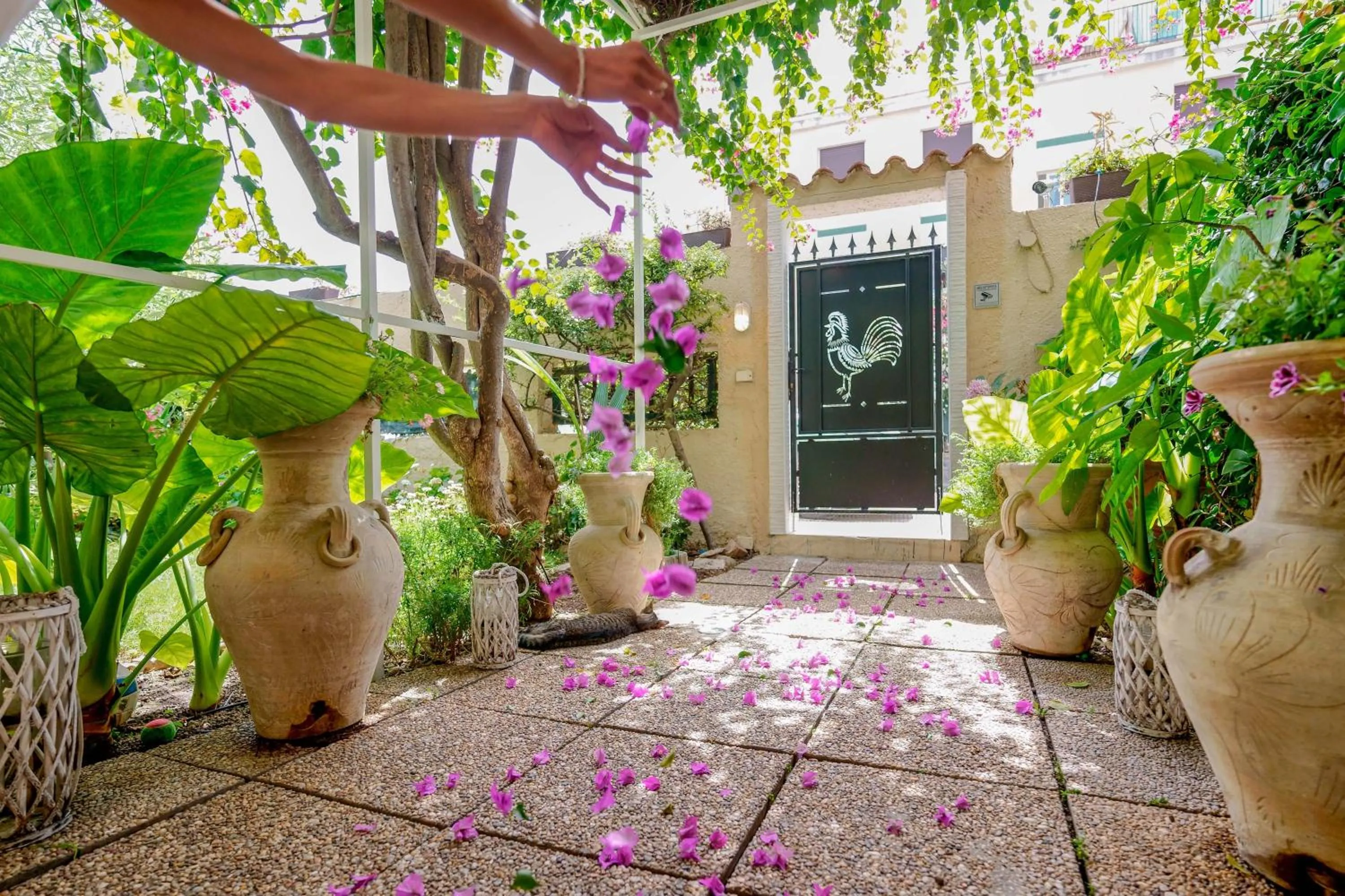 Garden in Villabeachcity Guesthouse